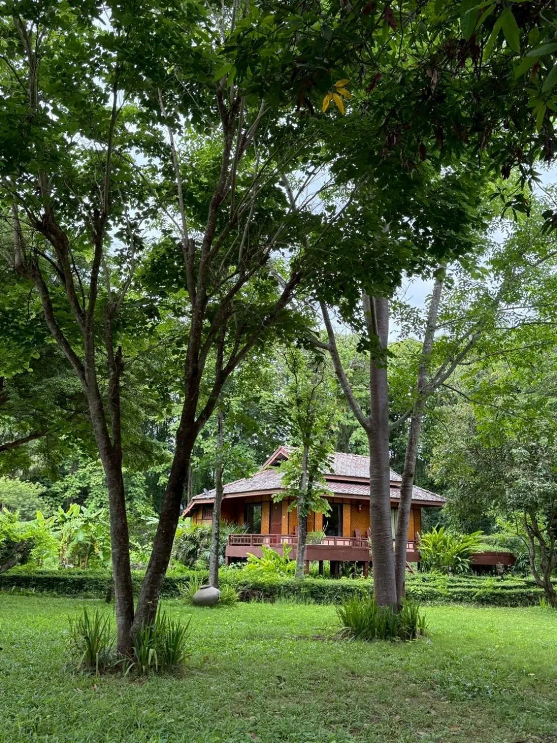 Garden in Baan Krating Pai Resort - SHA Plus