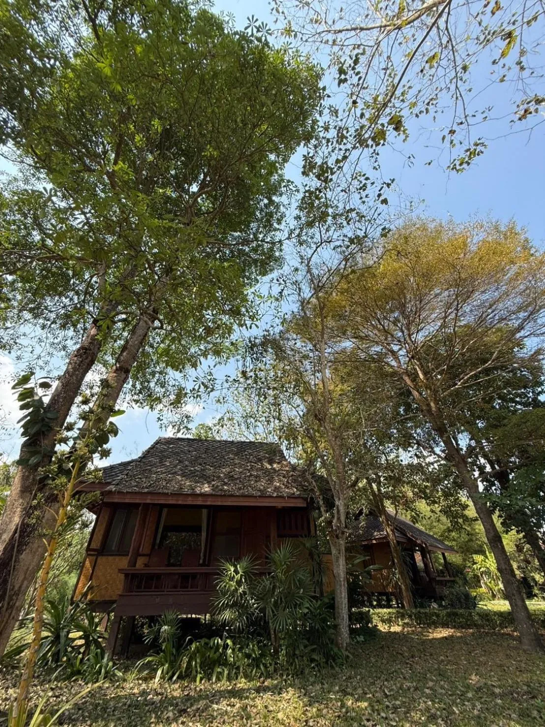 Natural landscape in Baan Krating Pai Resort - SHA Plus