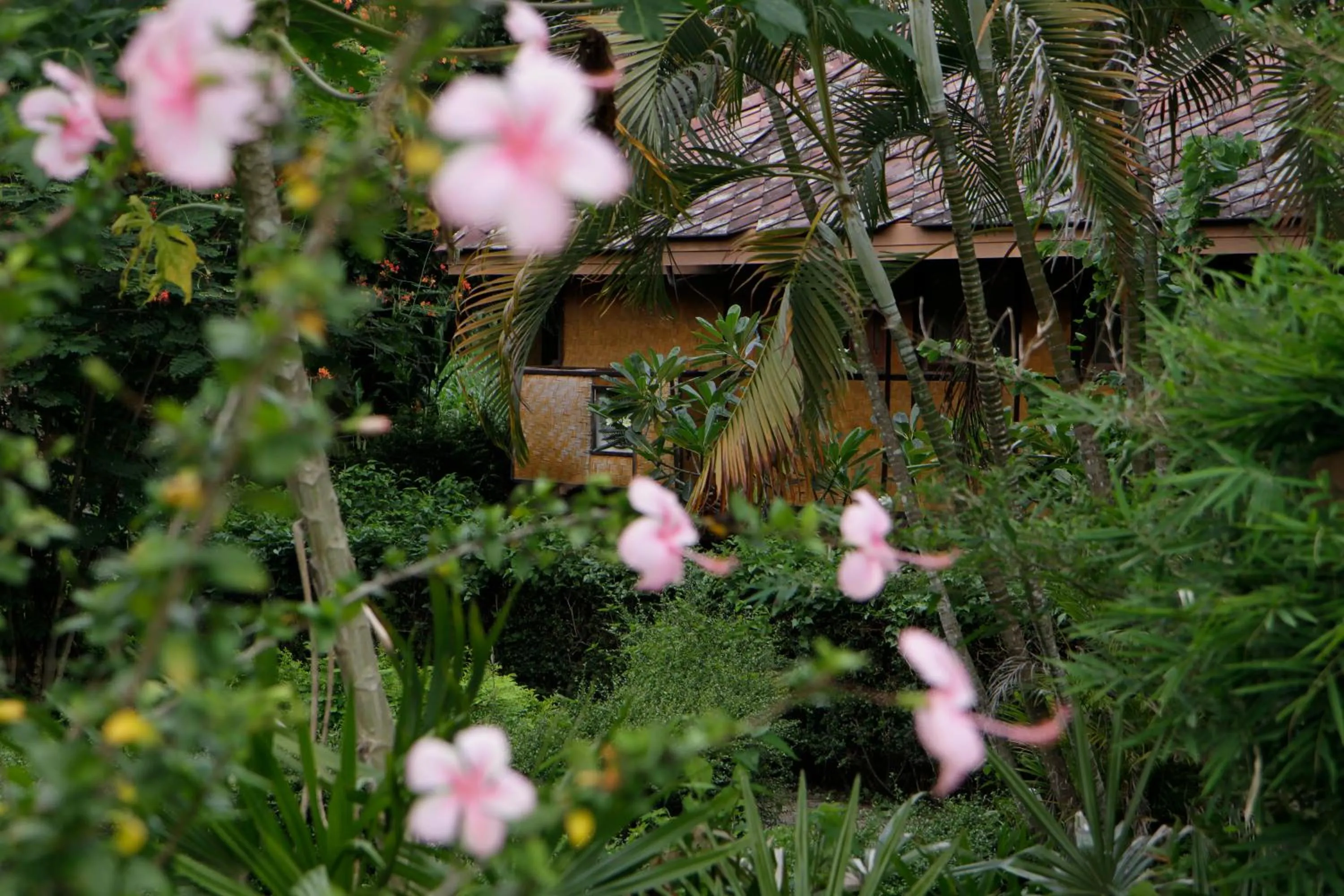 Property building in Baan Krating Pai Resort - SHA Plus