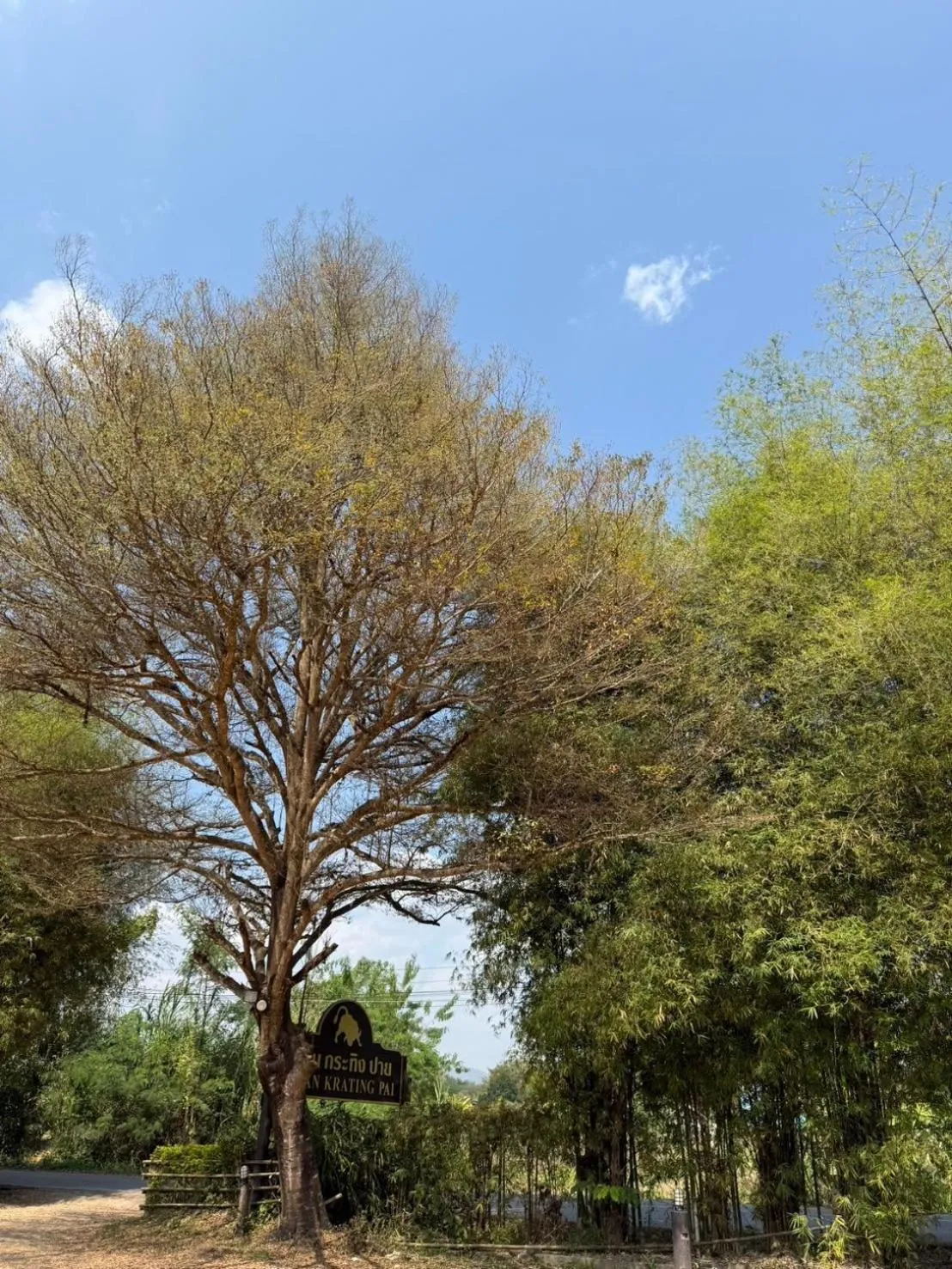Facade/entrance in Baan Krating Pai Resort - SHA Plus