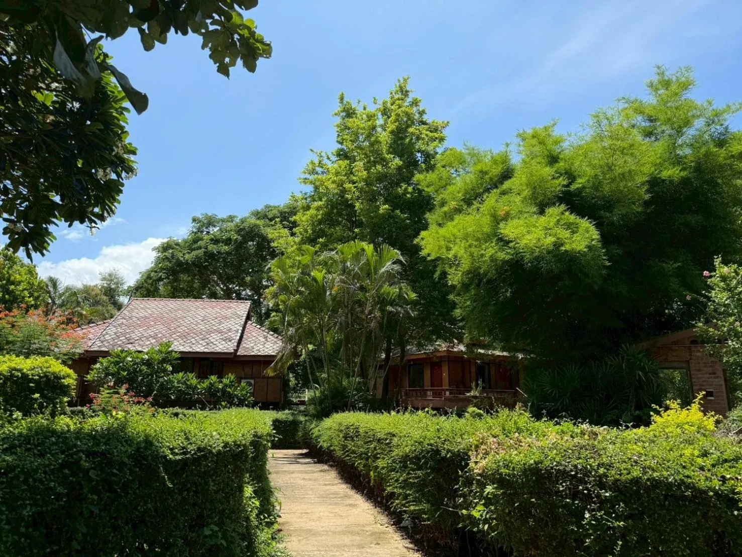 Garden in Baan Krating Pai Resort - SHA Plus