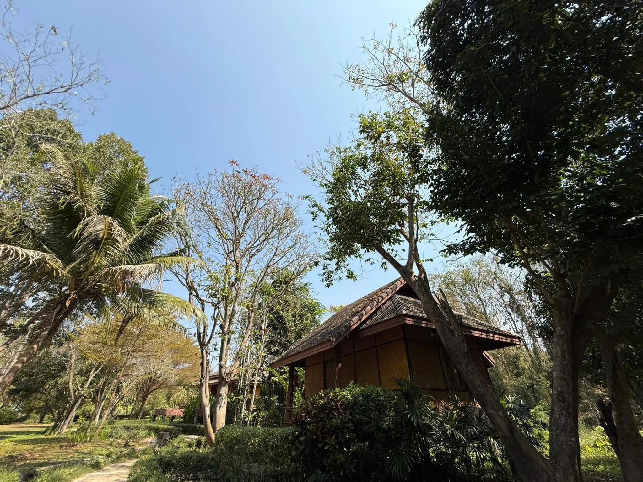 Natural landscape in Baan Krating Pai Resort - SHA Plus