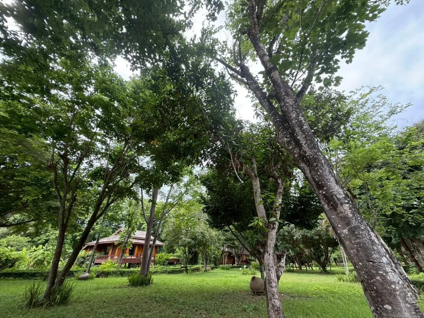 Garden in Baan Krating Pai Resort - SHA Plus