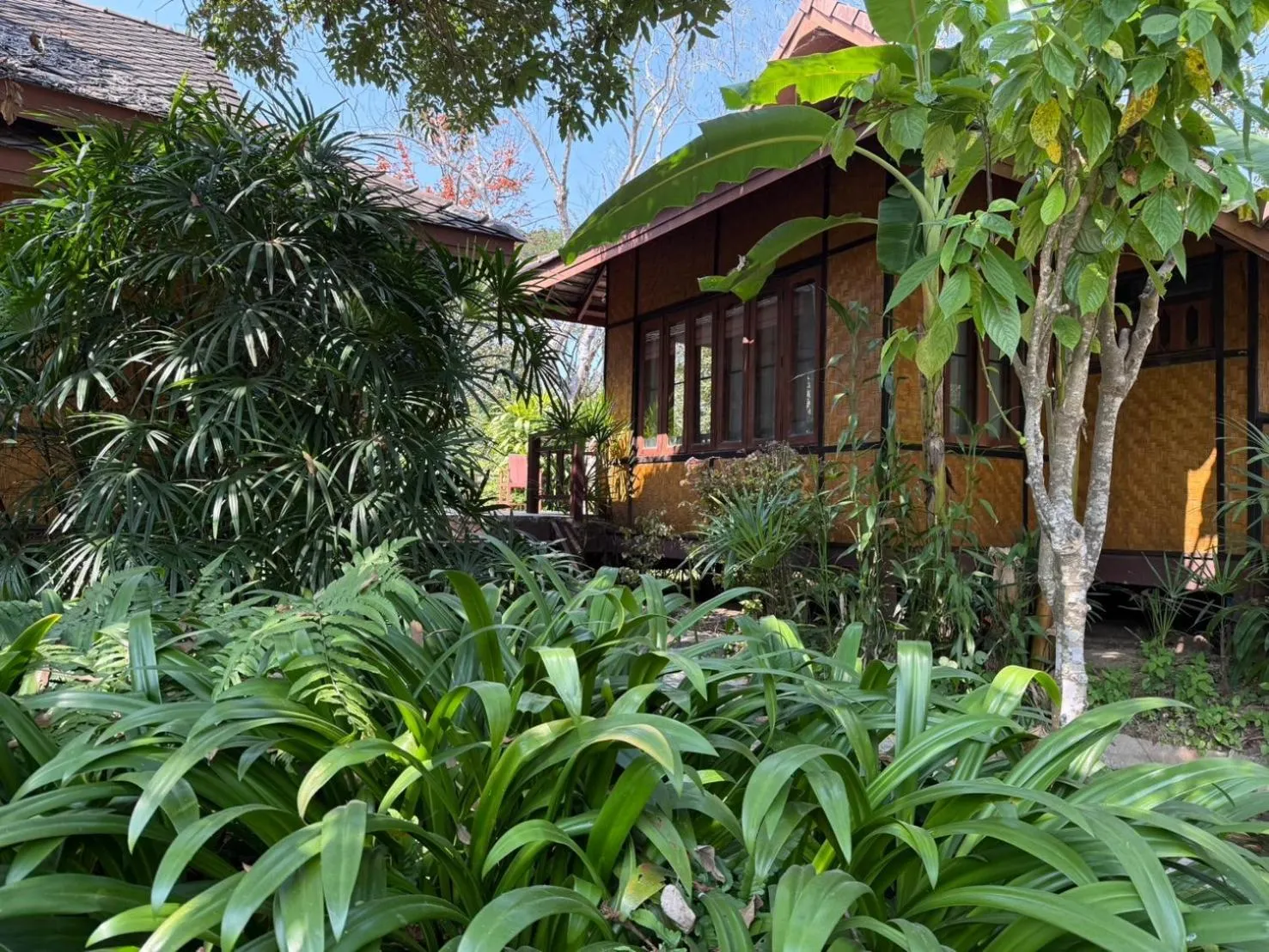 Garden view in Baan Krating Pai Resort - SHA Plus