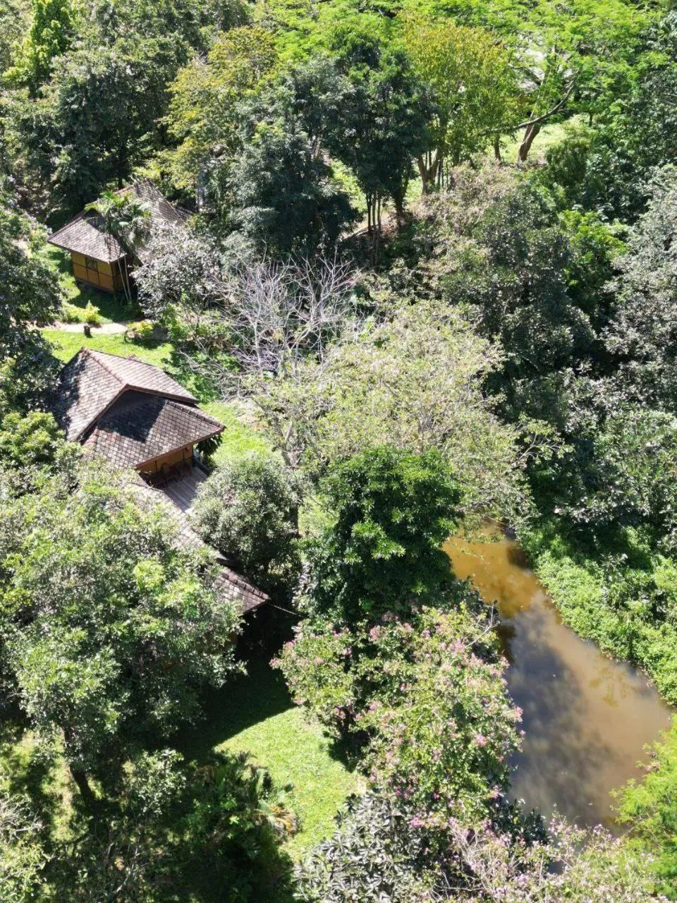 Swimming pool in Baan Krating Pai Resort - SHA Plus