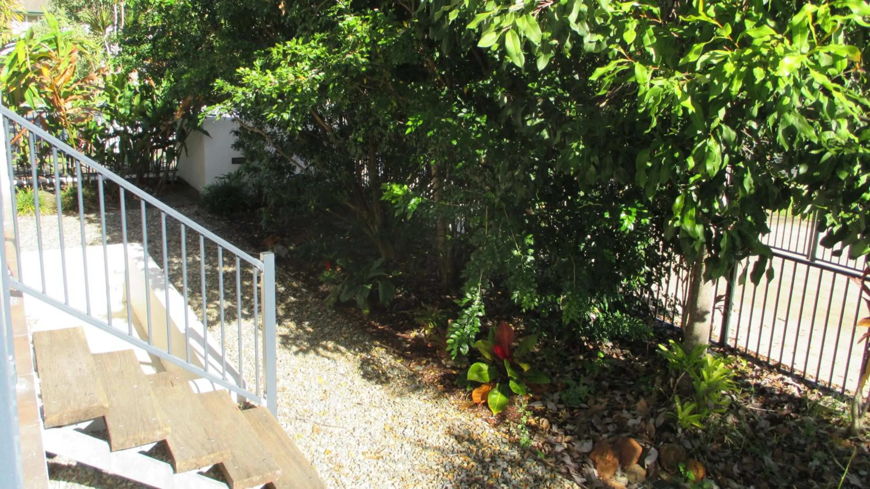 Garden in Edge Apartments Cairns