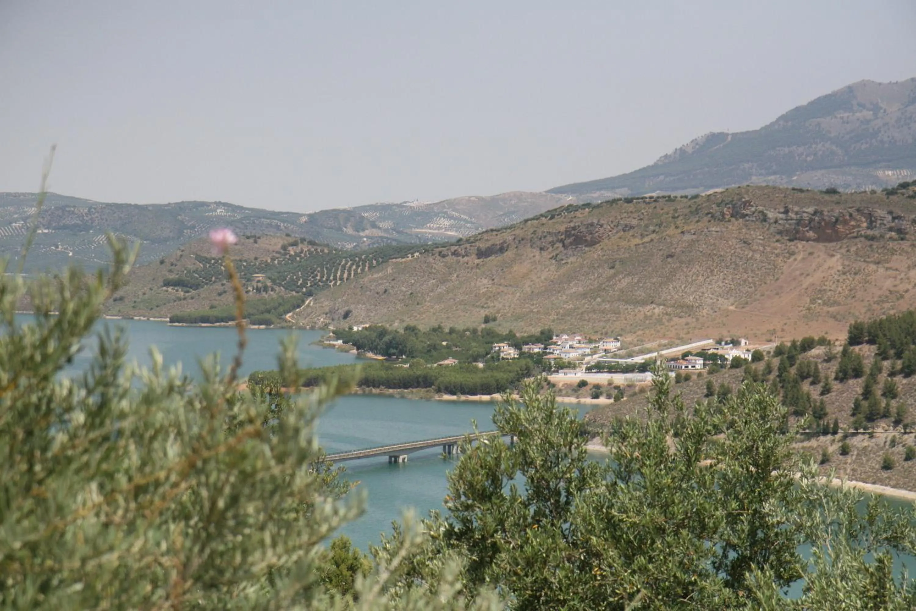 View (from property/room) in Caserio de Iznájar