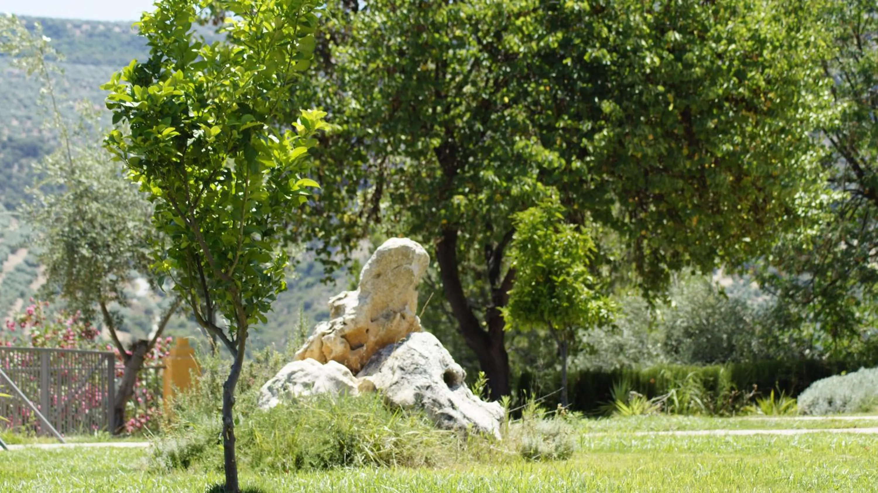 Garden in Caserio de Iznájar