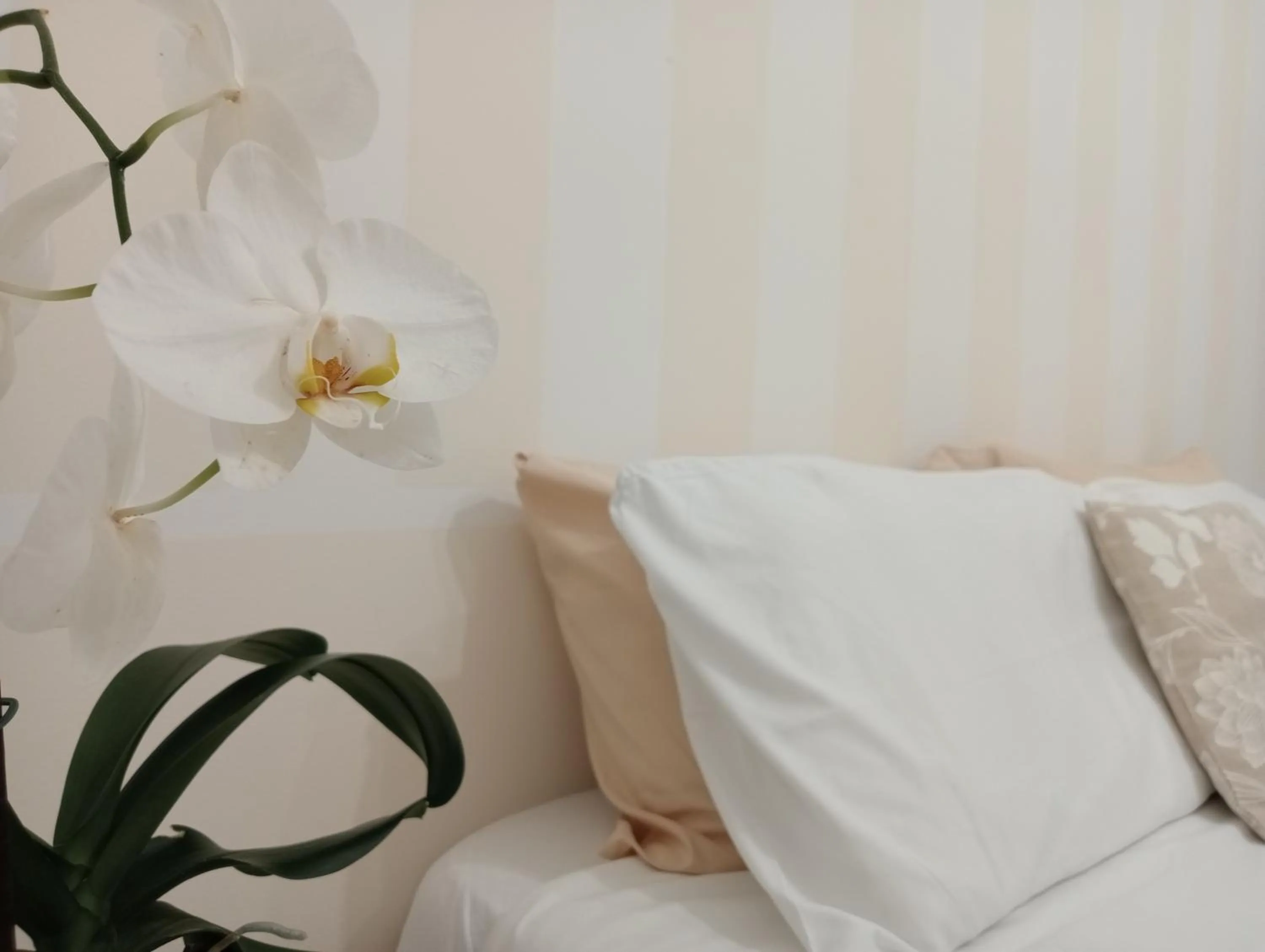 Bed in Vigne Vecchie