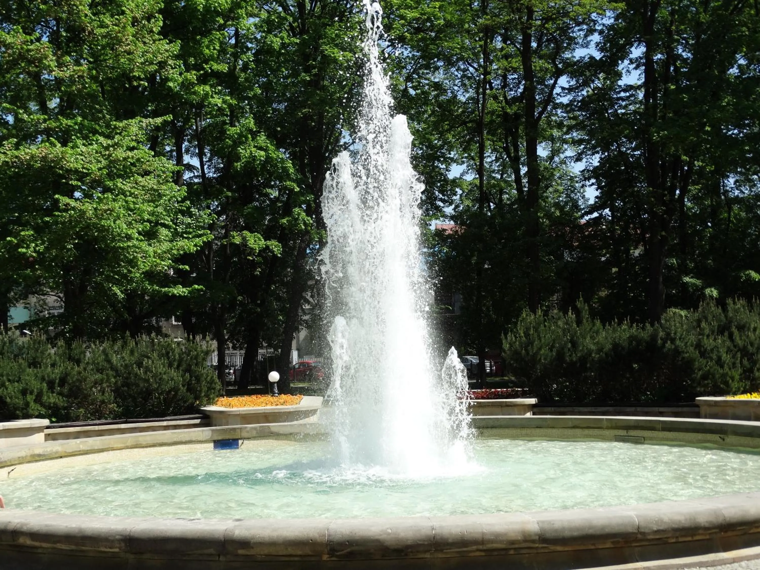 Sepia Restauracja & Noclegi