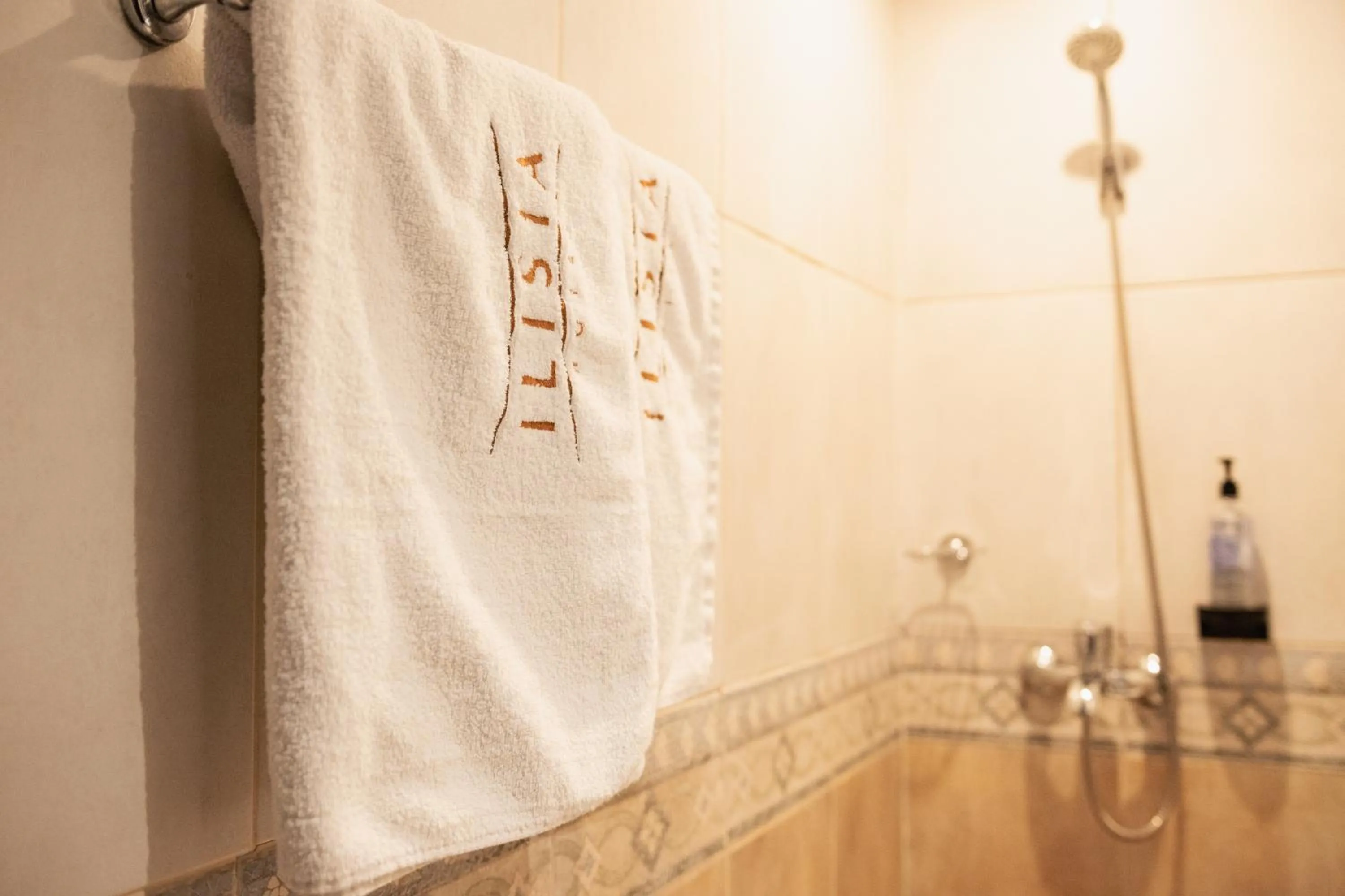 Bathroom in Hotel Ilisia