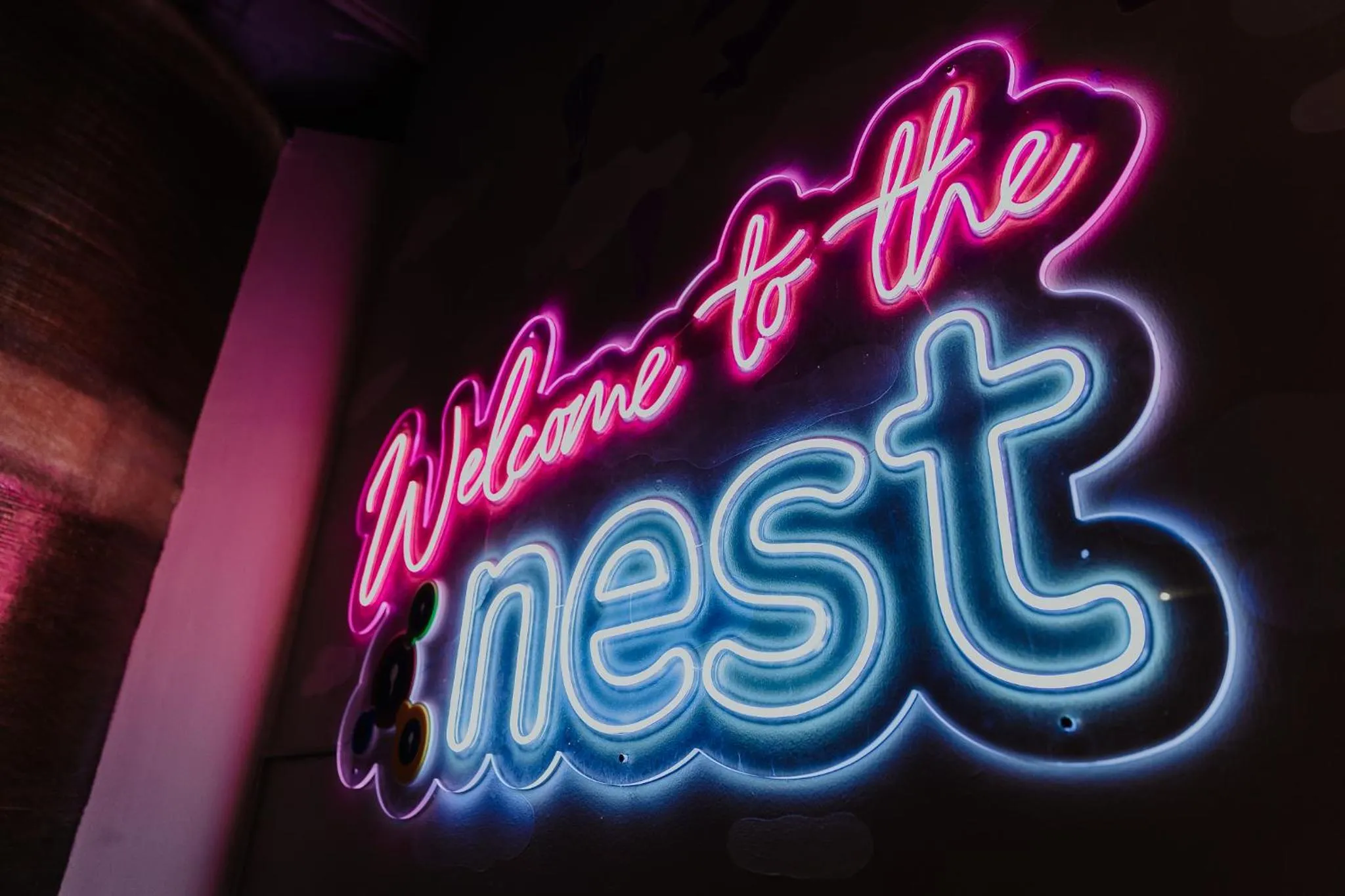 Activities in Purple Nest Hostel