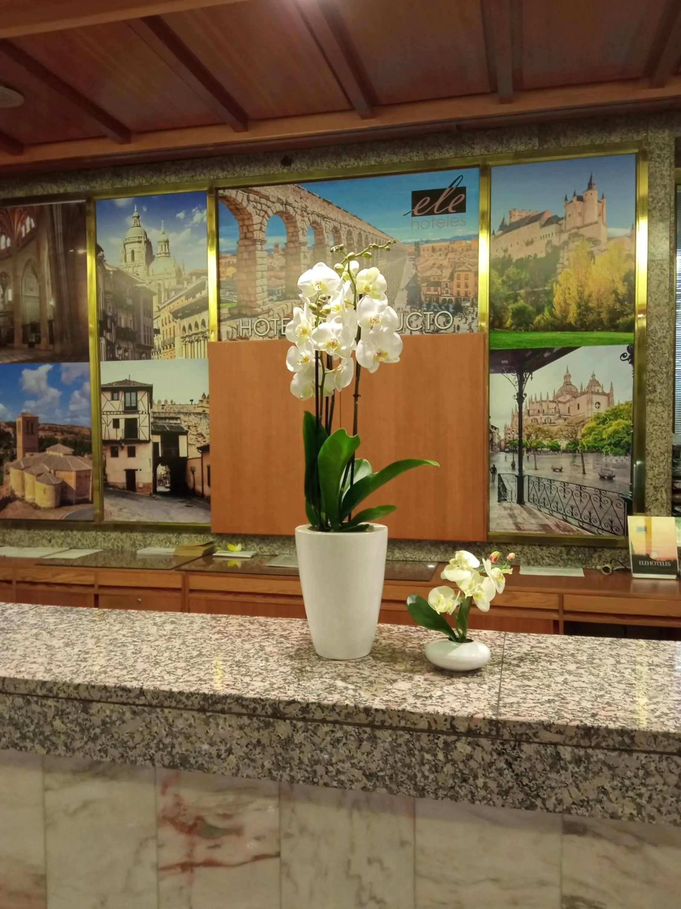 Lobby or reception in Hotel ELE Acueducto