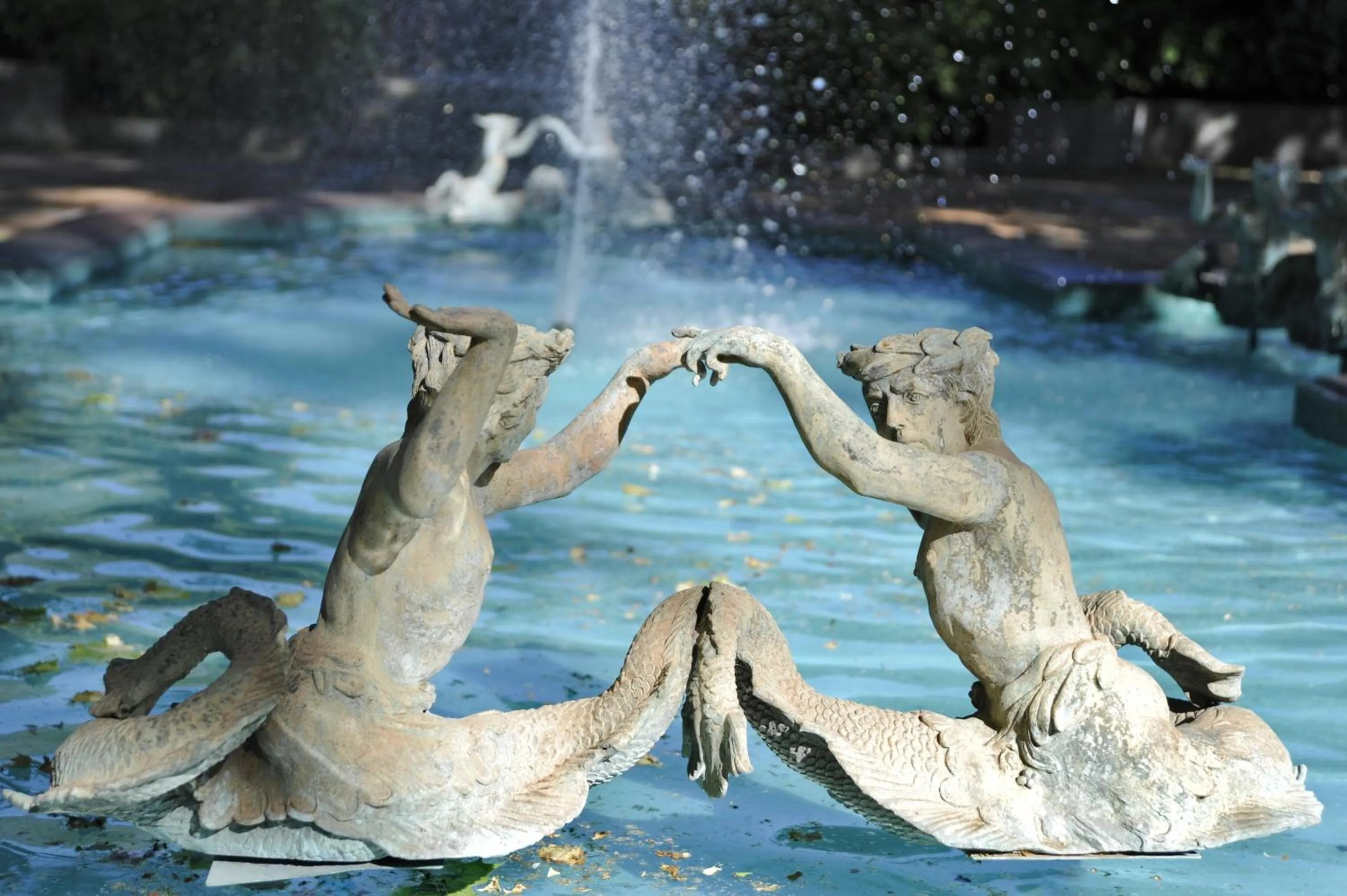 Natural landscape in Hotel Casa Real - Viña Santa Rita