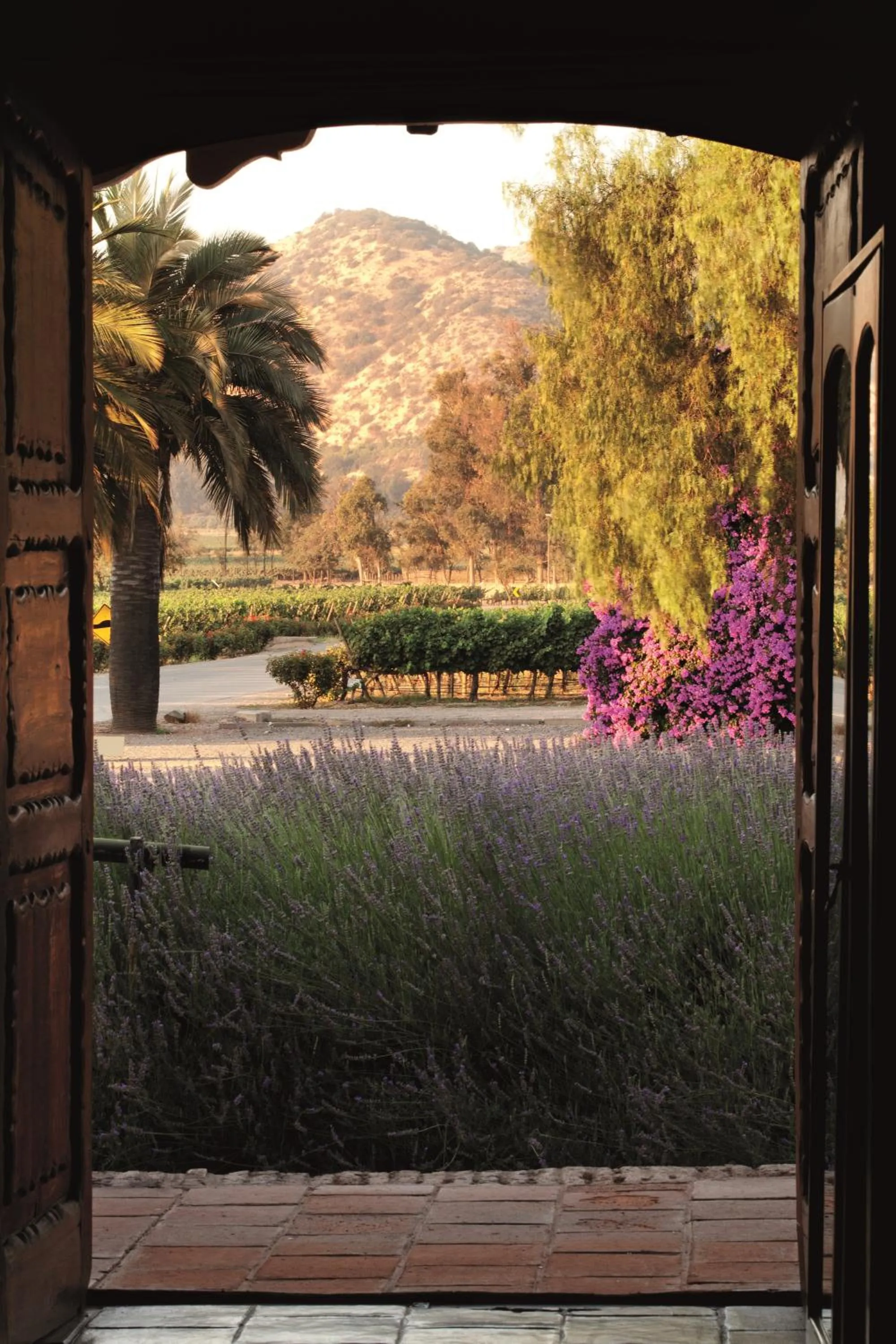 Property building in Hotel Casa Real - Viña Santa Rita