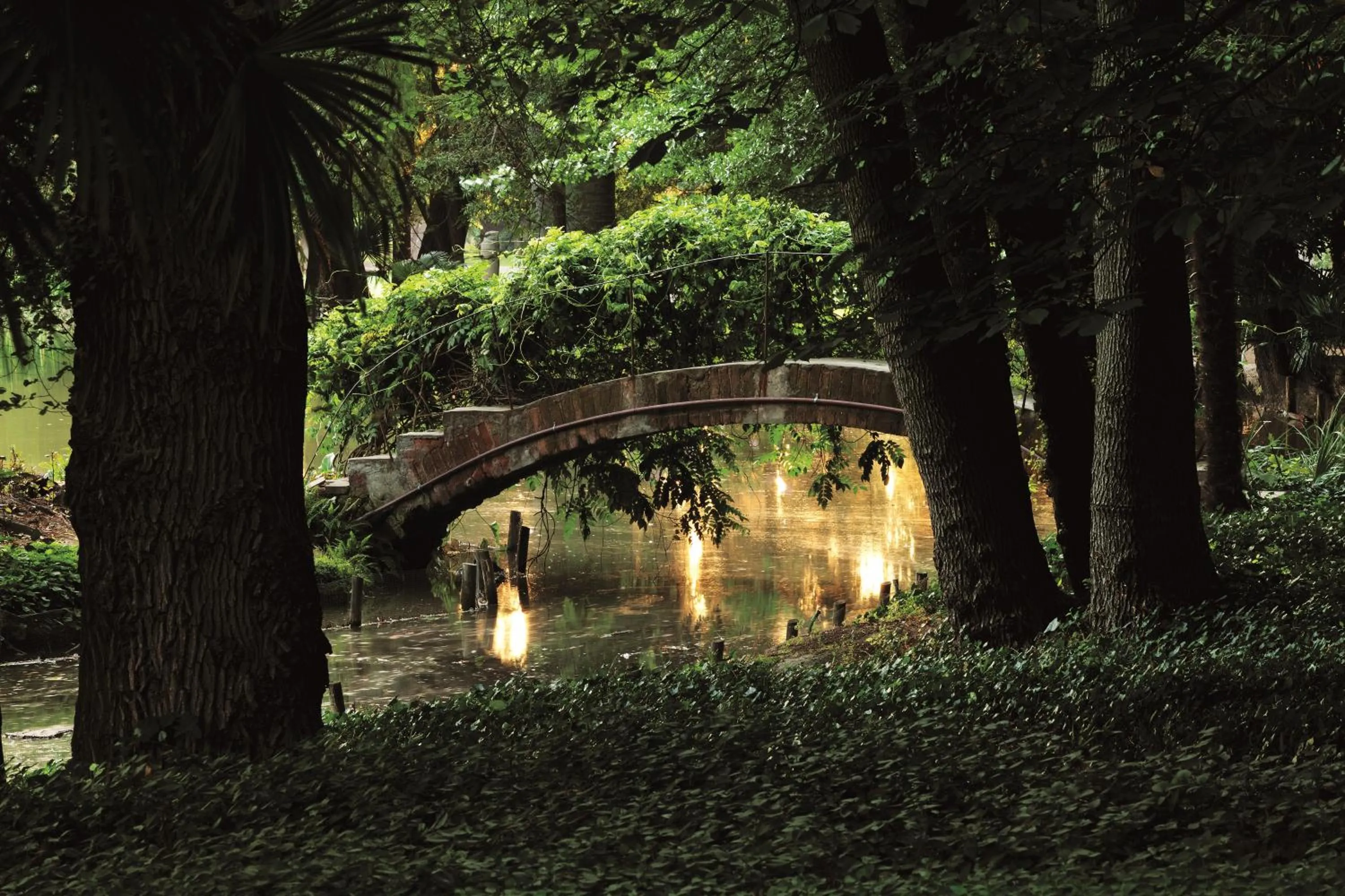 Natural landscape in Hotel Casa Real - Viña Santa Rita