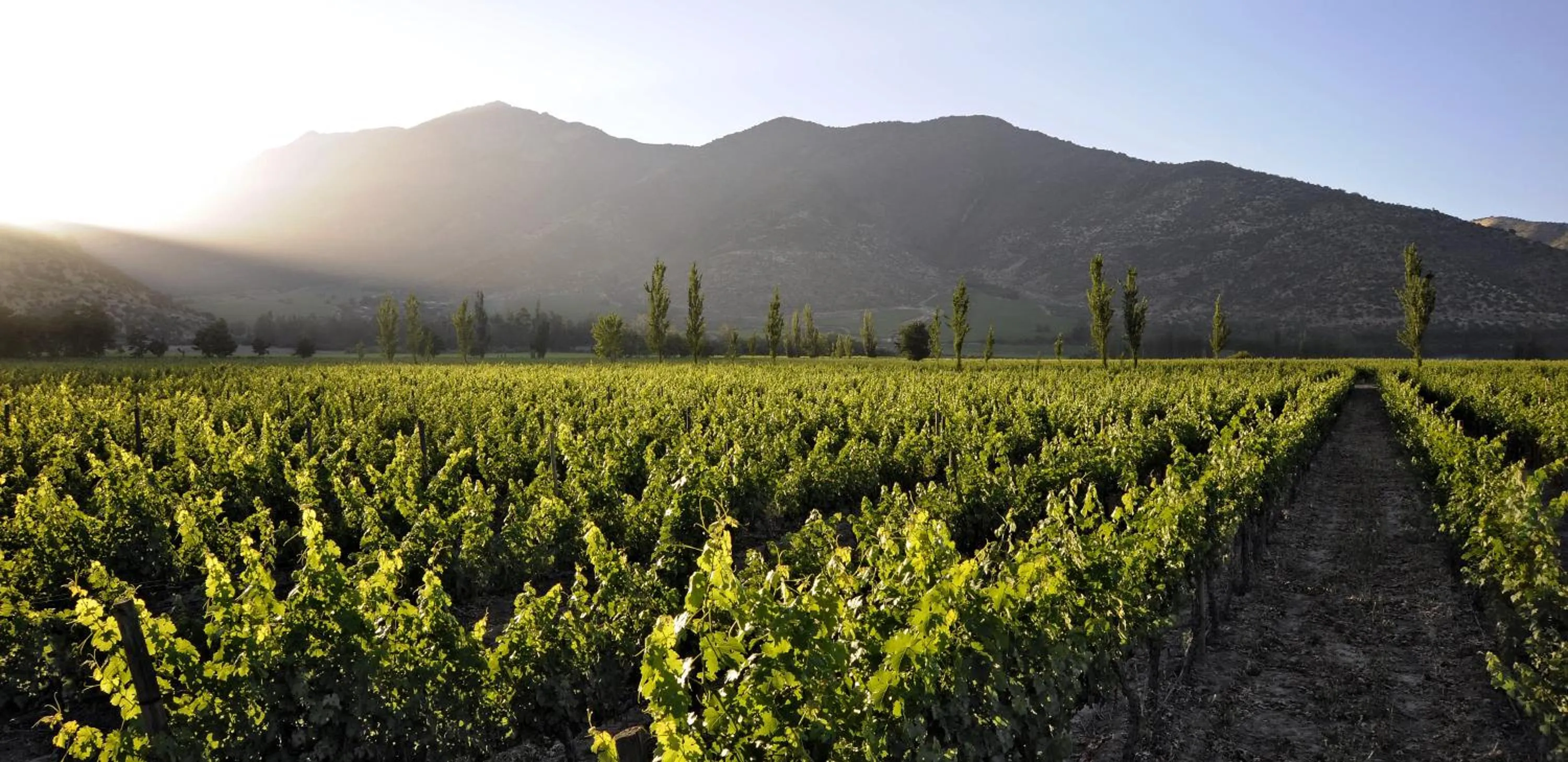 Nearby landmark in Hotel Casa Real - Viña Santa Rita
