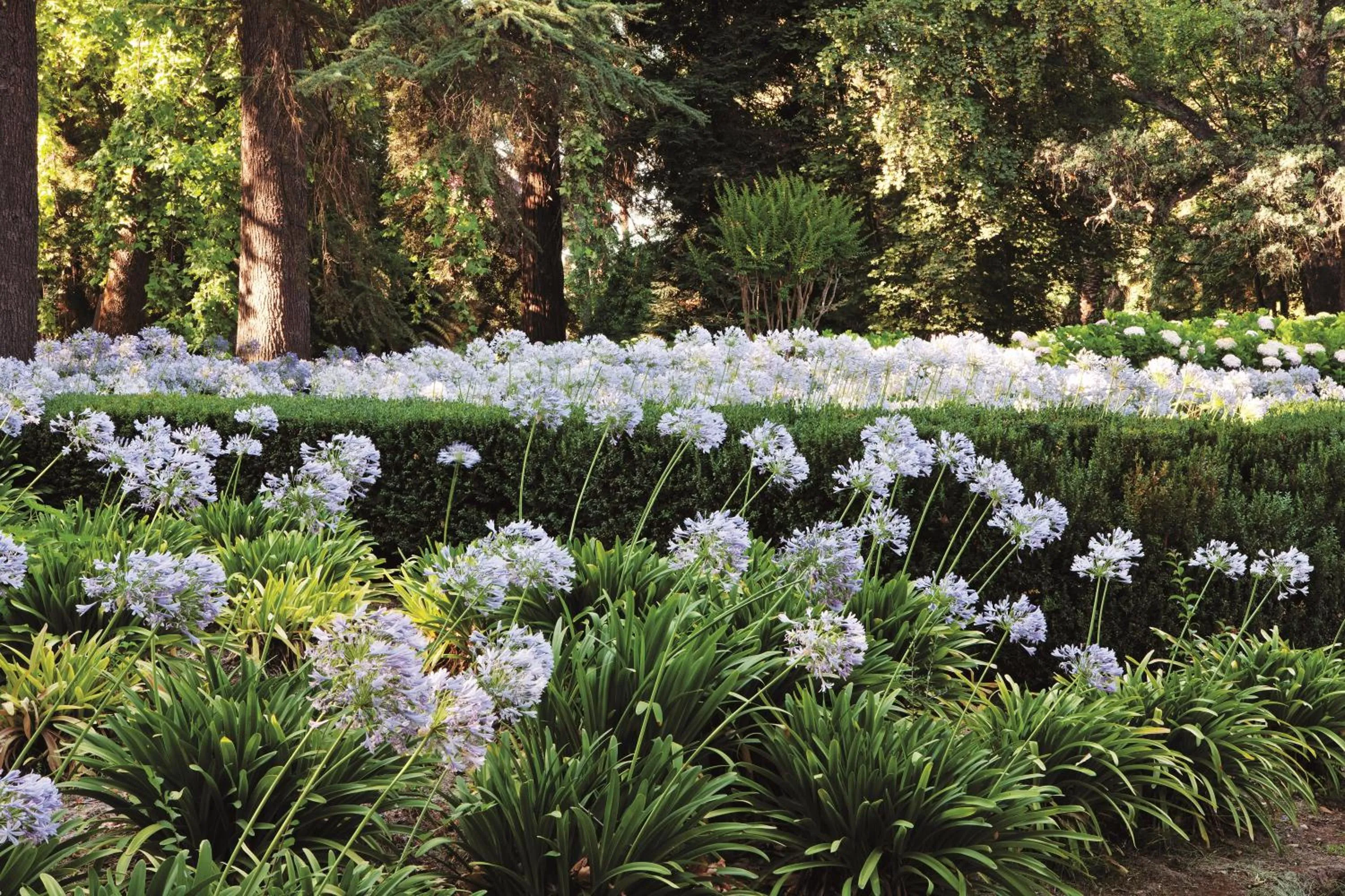 Property building in Hotel Casa Real - Viña Santa Rita