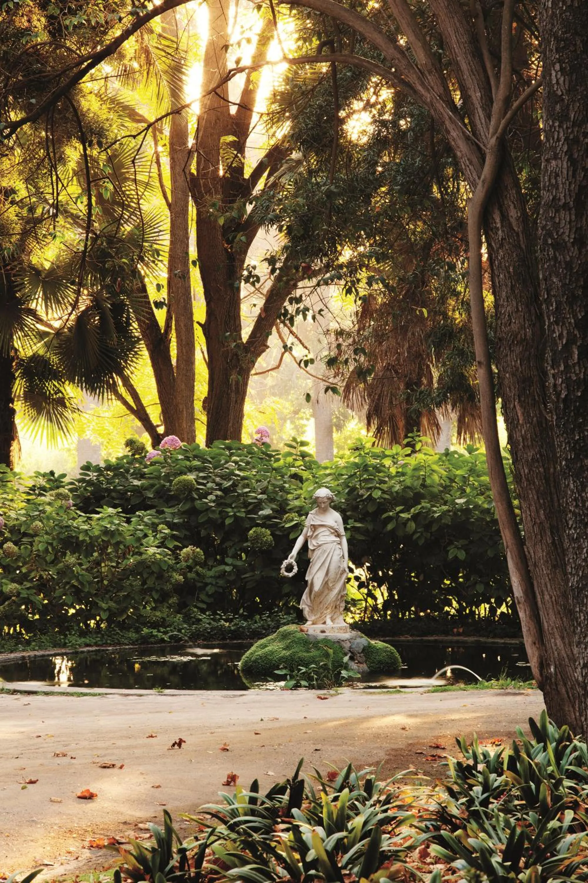Natural landscape in Hotel Casa Real - Viña Santa Rita