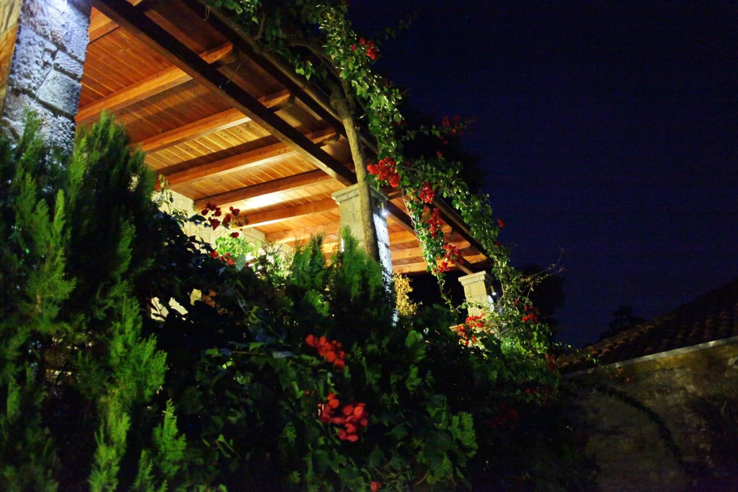 Patio in Ilion Hotel