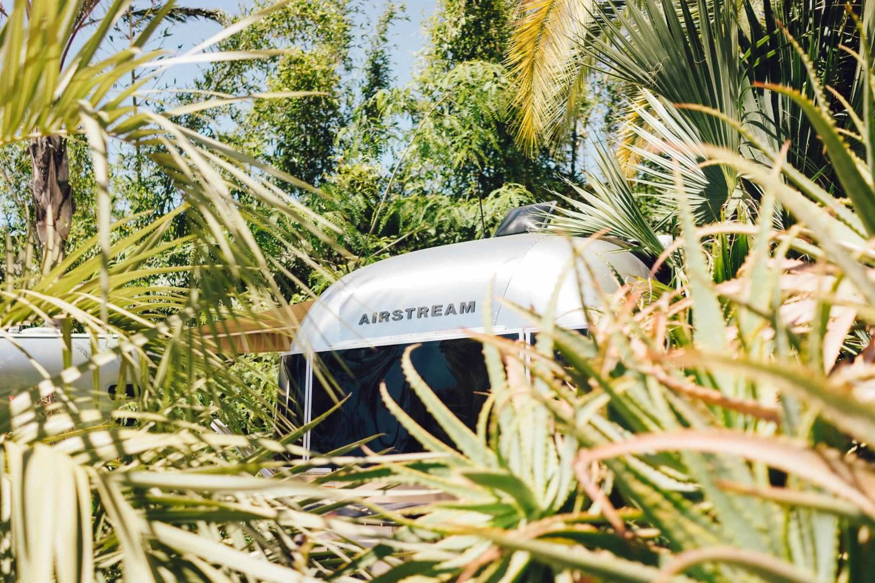 Other in Caravan Outpost