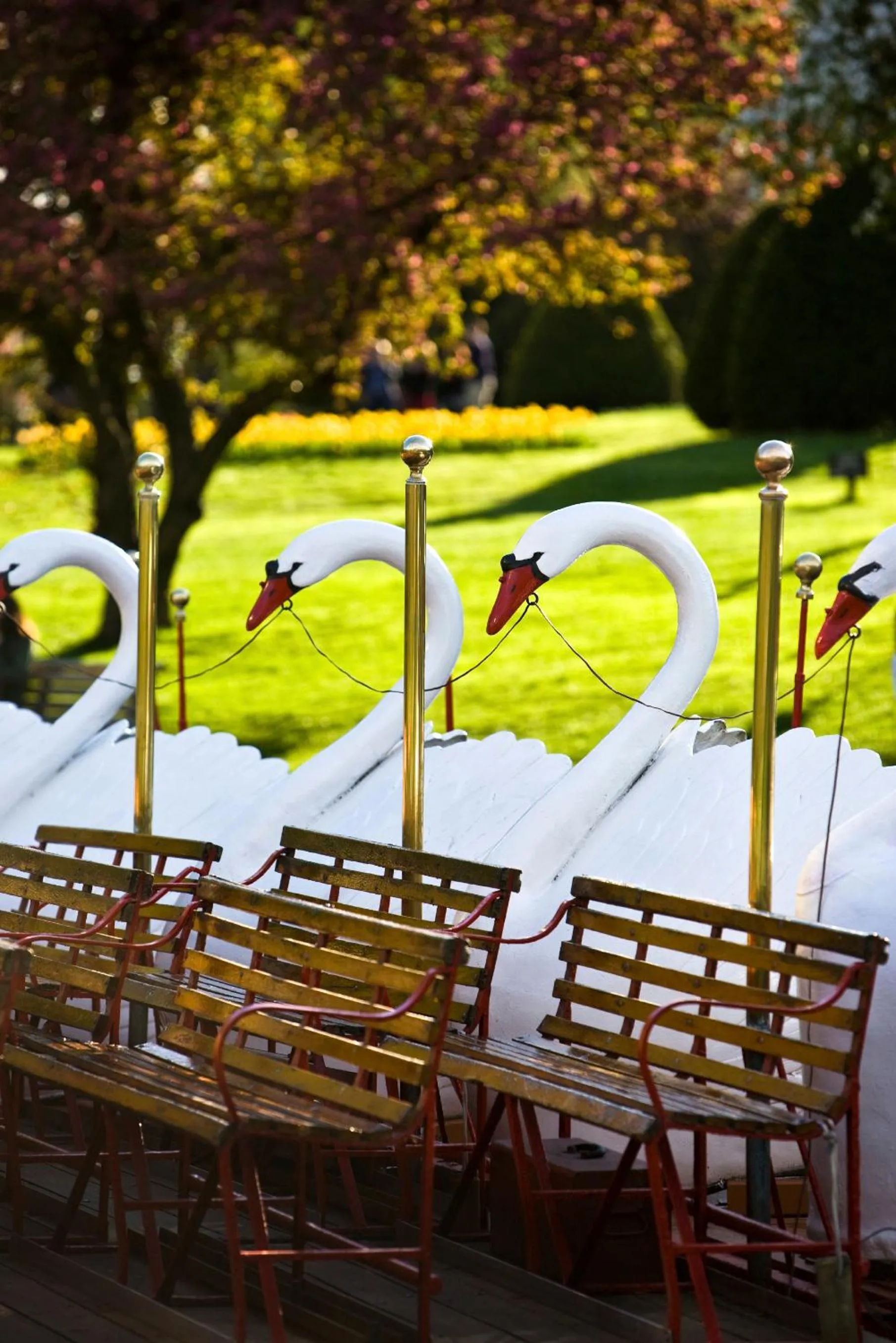 Nearby landmark in Mandarin Oriental, Boston