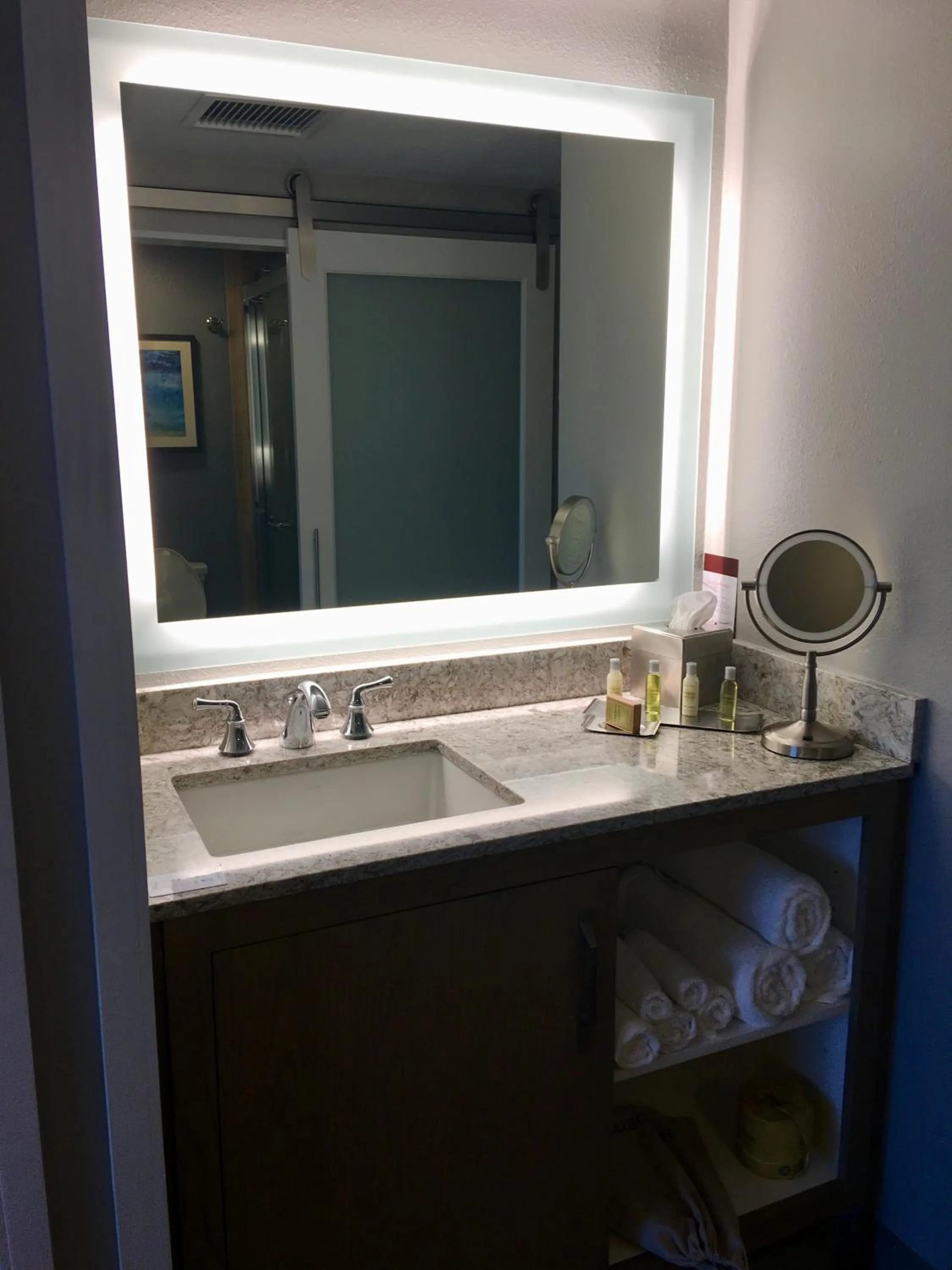 Bathroom in DoubleTree Suites by Hilton Melbourne Beach Oceanfront