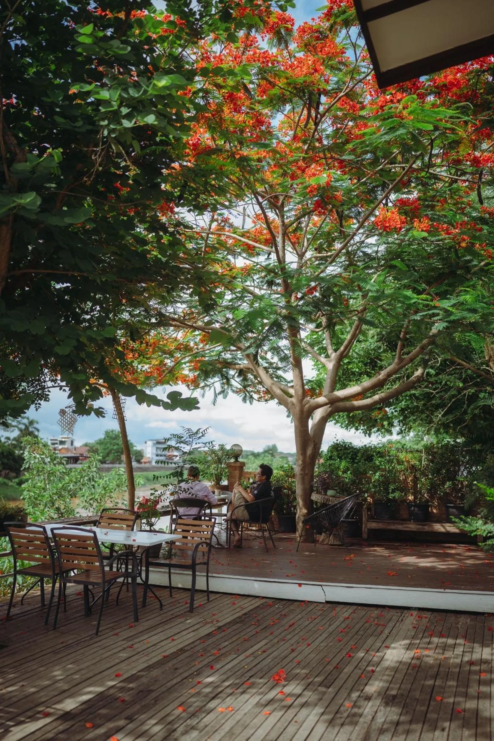 Day in Nan Rim Nam Resort