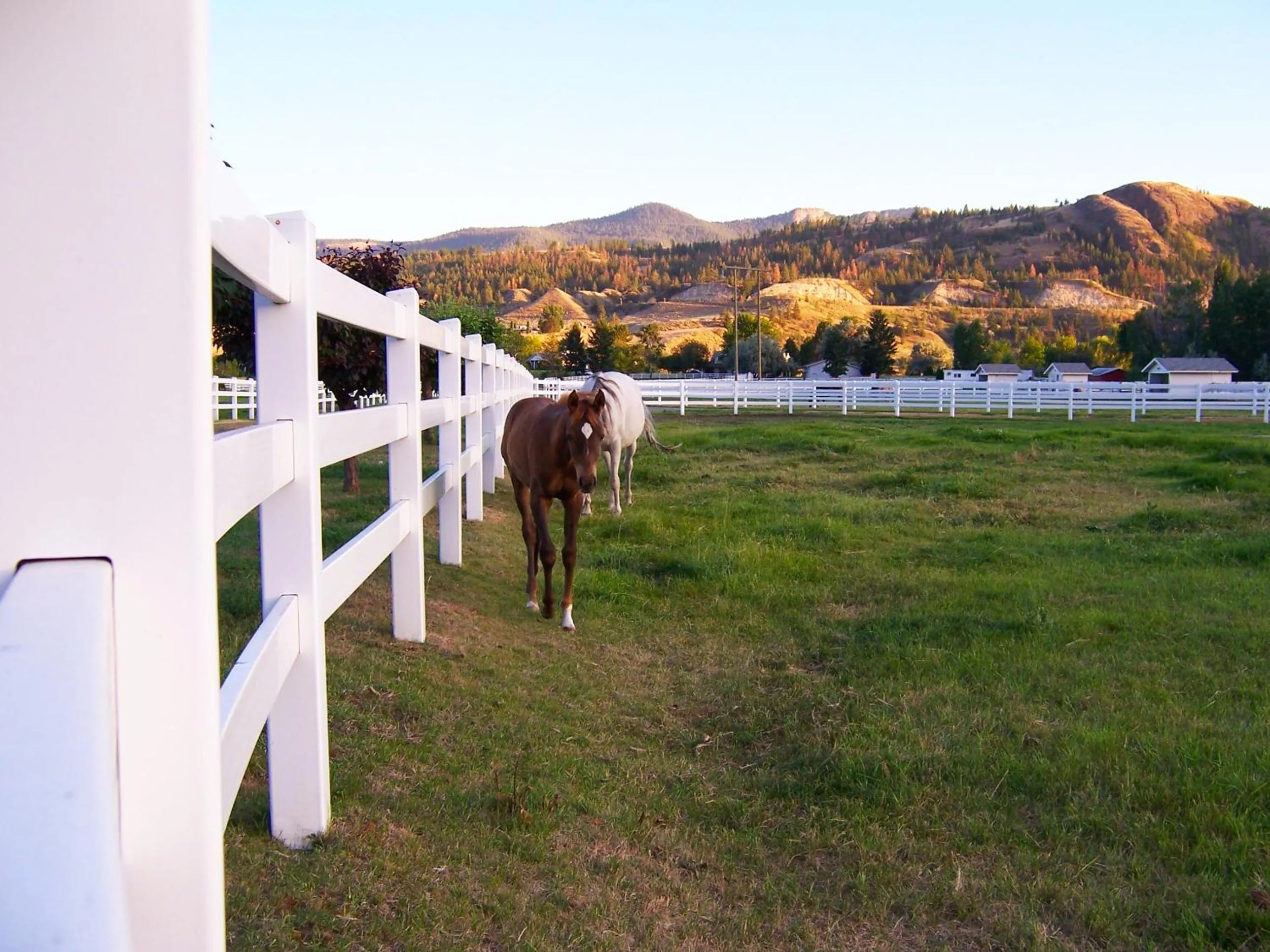 Decorative detail in South Thompson Inn & Conference Centre