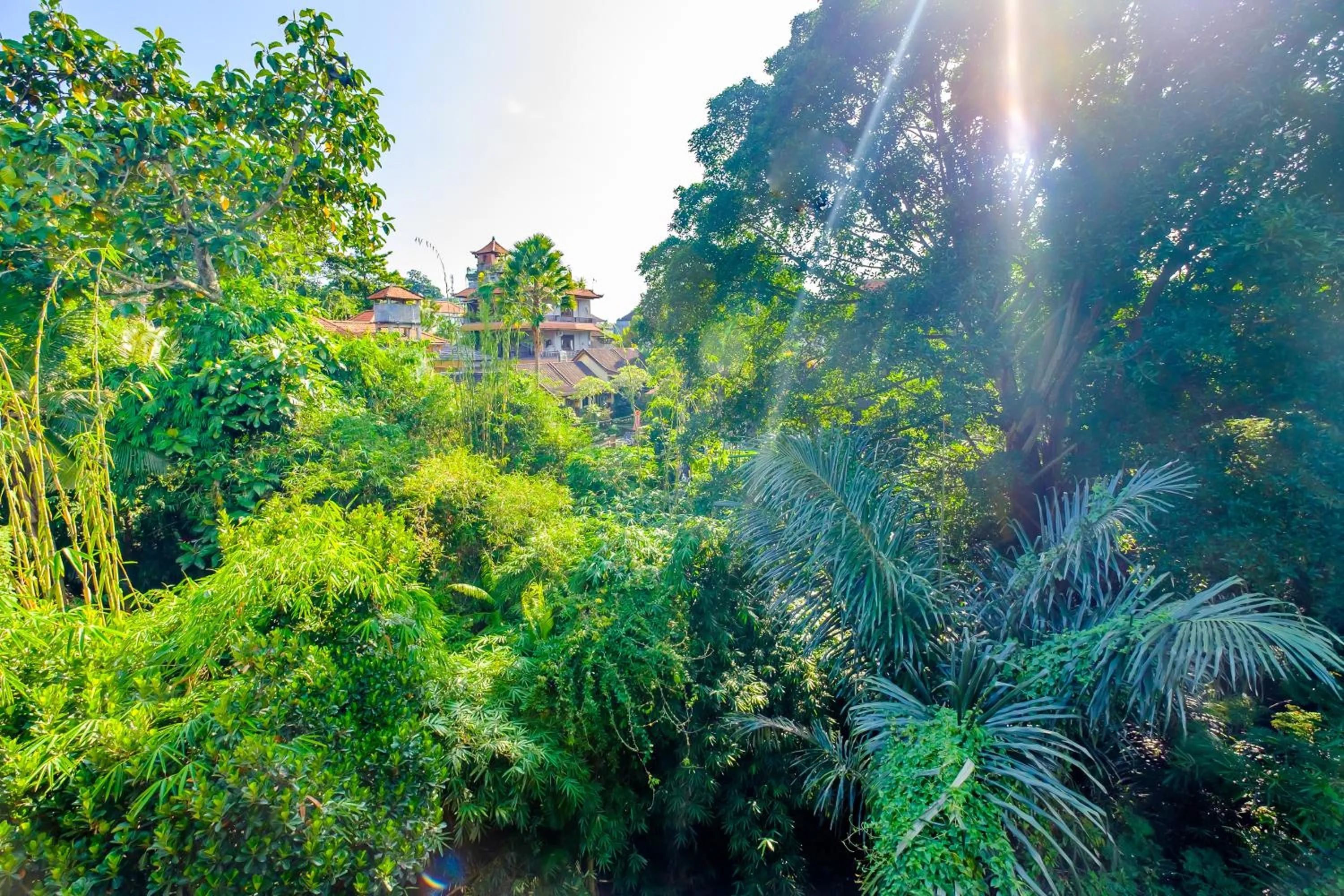 Natural landscape in Bali Ubud Harmony