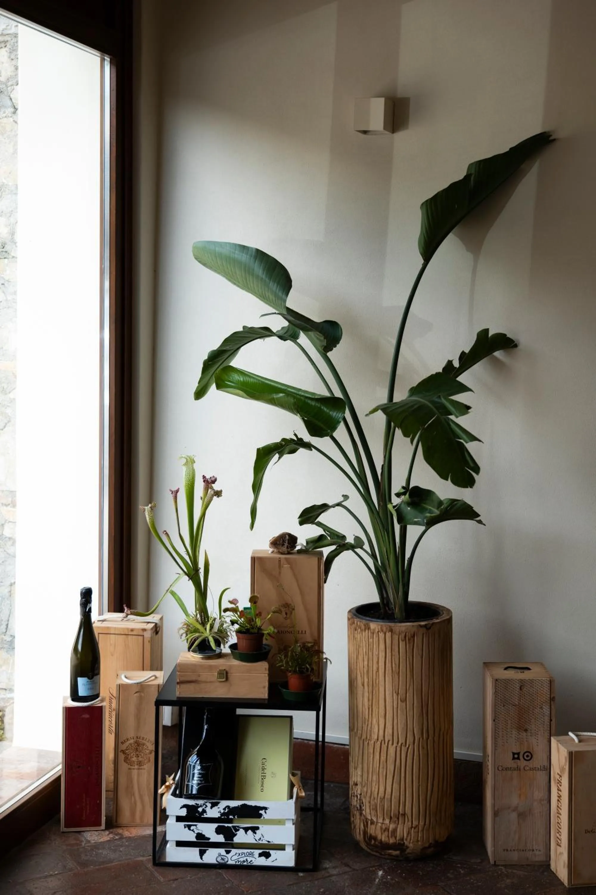 Restaurant/places to eat in La terrazza sulle vigne B&B