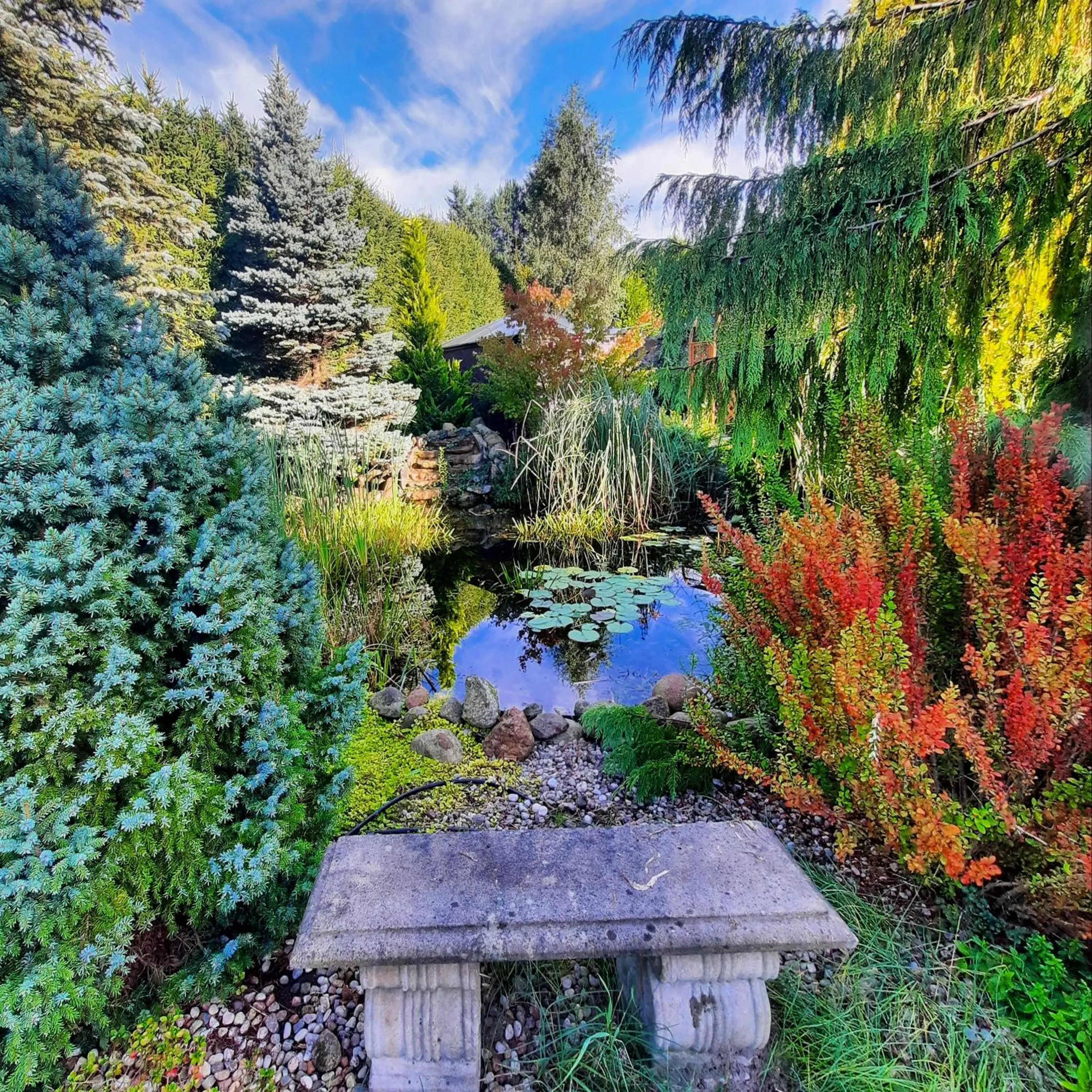 Day in RetroHouse - wypoczynek dla dorosłych, B&B