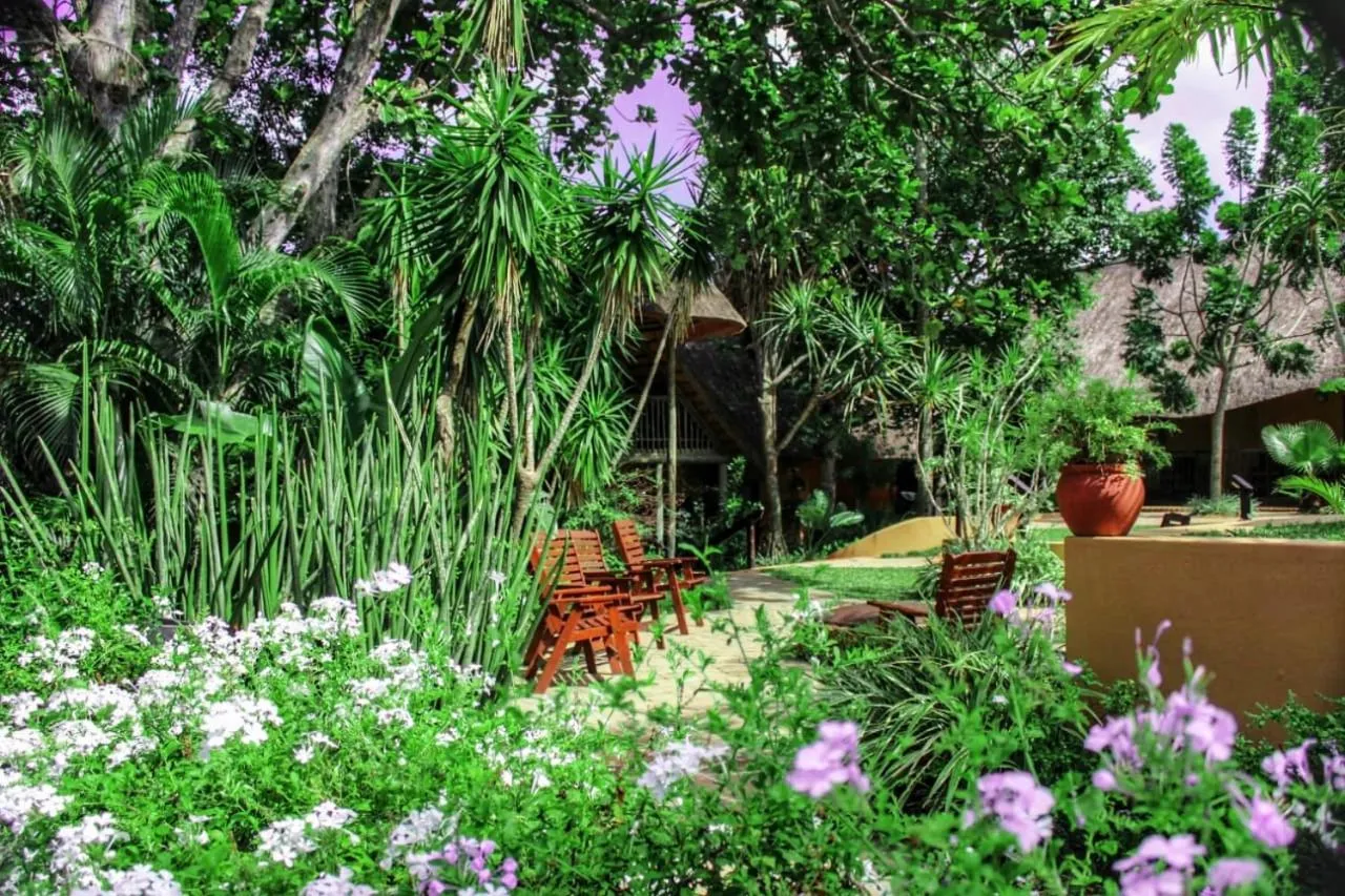 Garden in AmaZulu Lodge