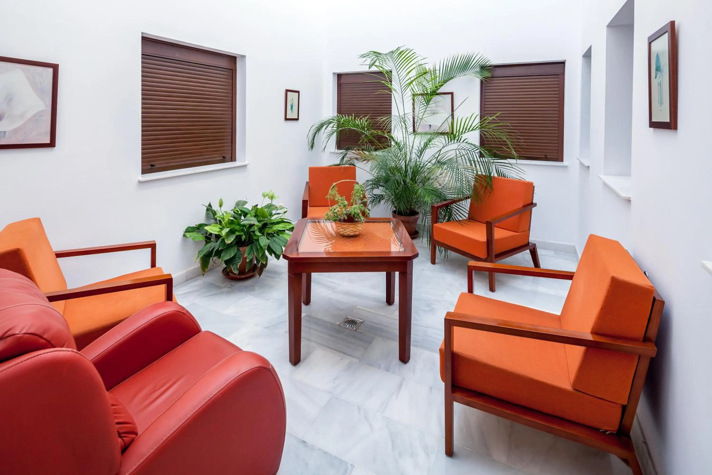 Garden in Hotel Las Casas del Duque