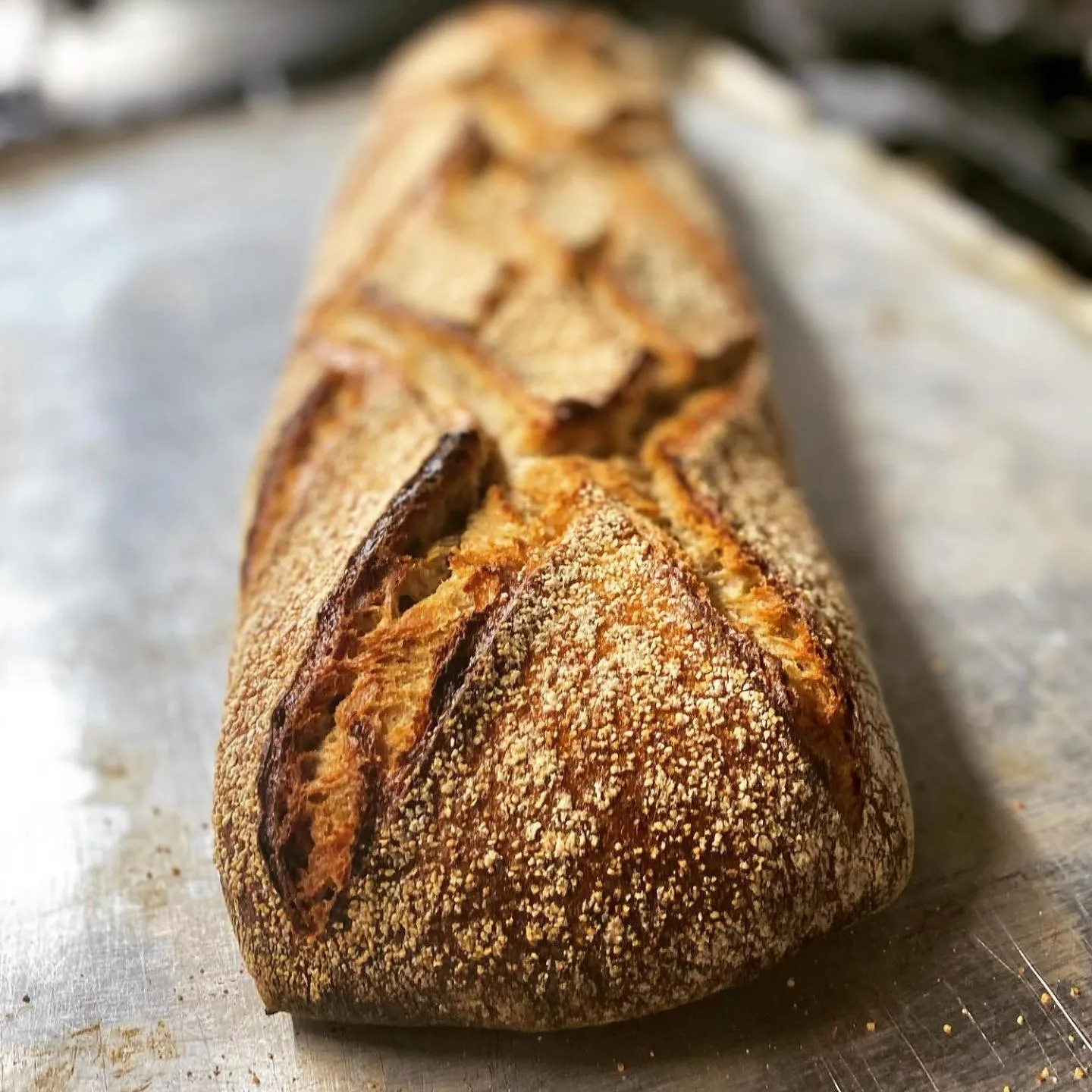 Restaurant/places to eat in The Gordon Arms Restaurant with Rooms