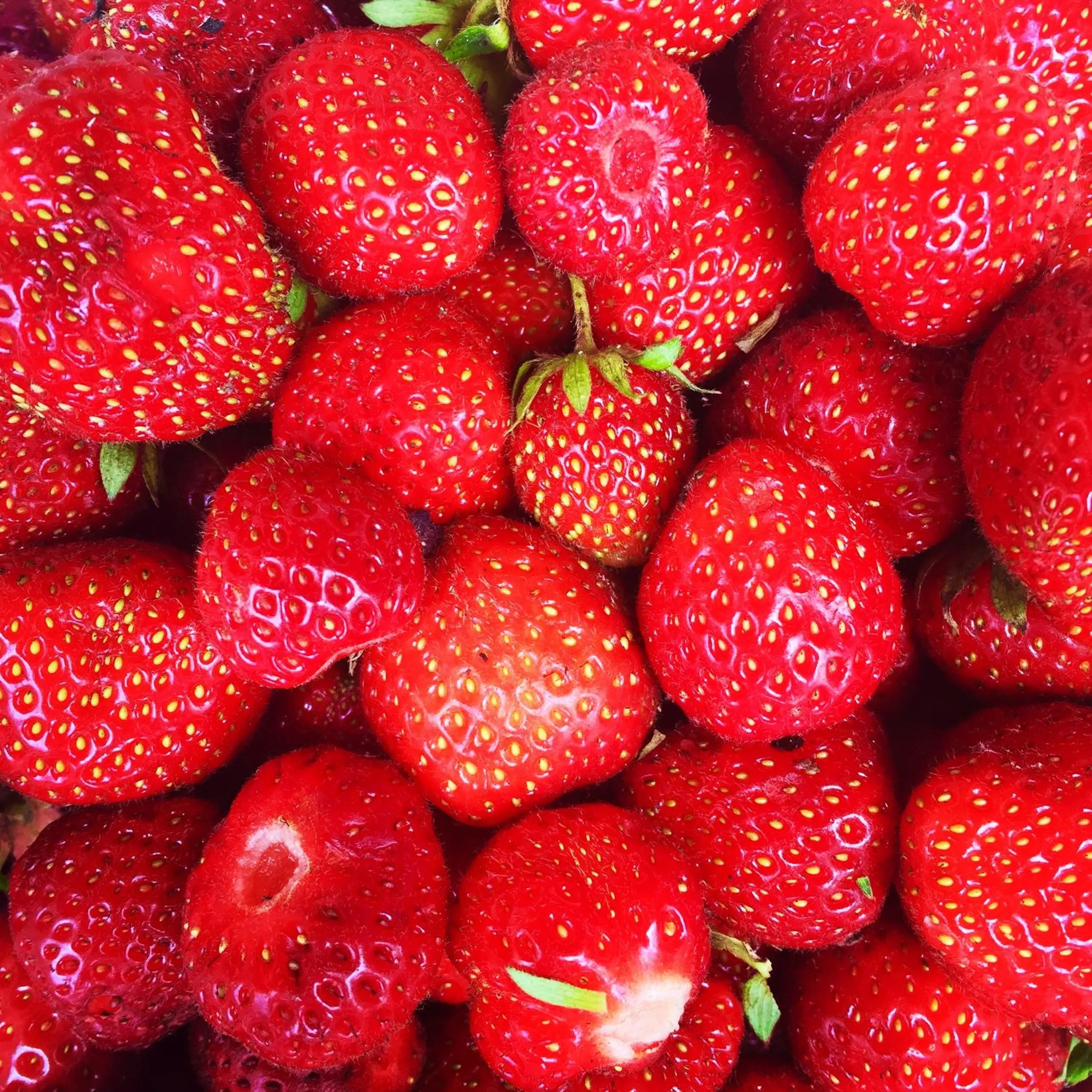 The Gordon Arms Restaurant with Rooms