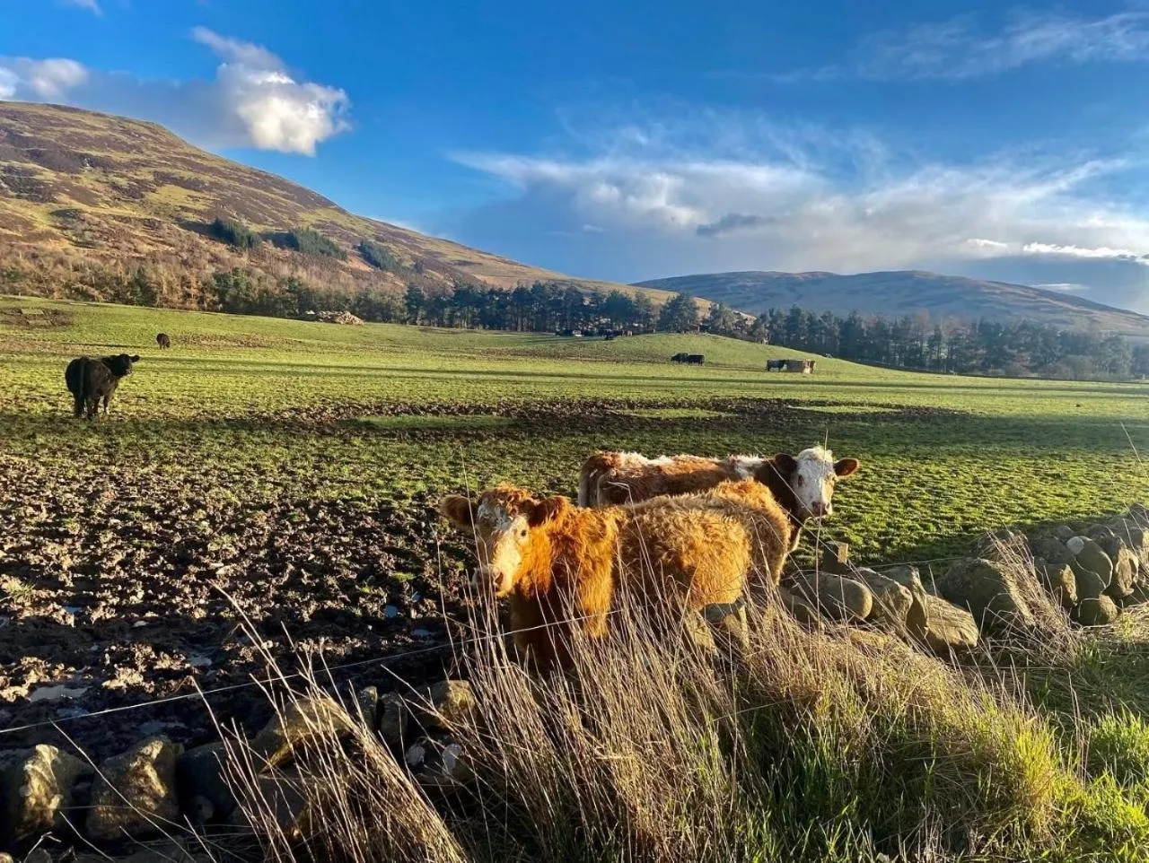 Natural landscape in The Gordon Arms Restaurant with Rooms