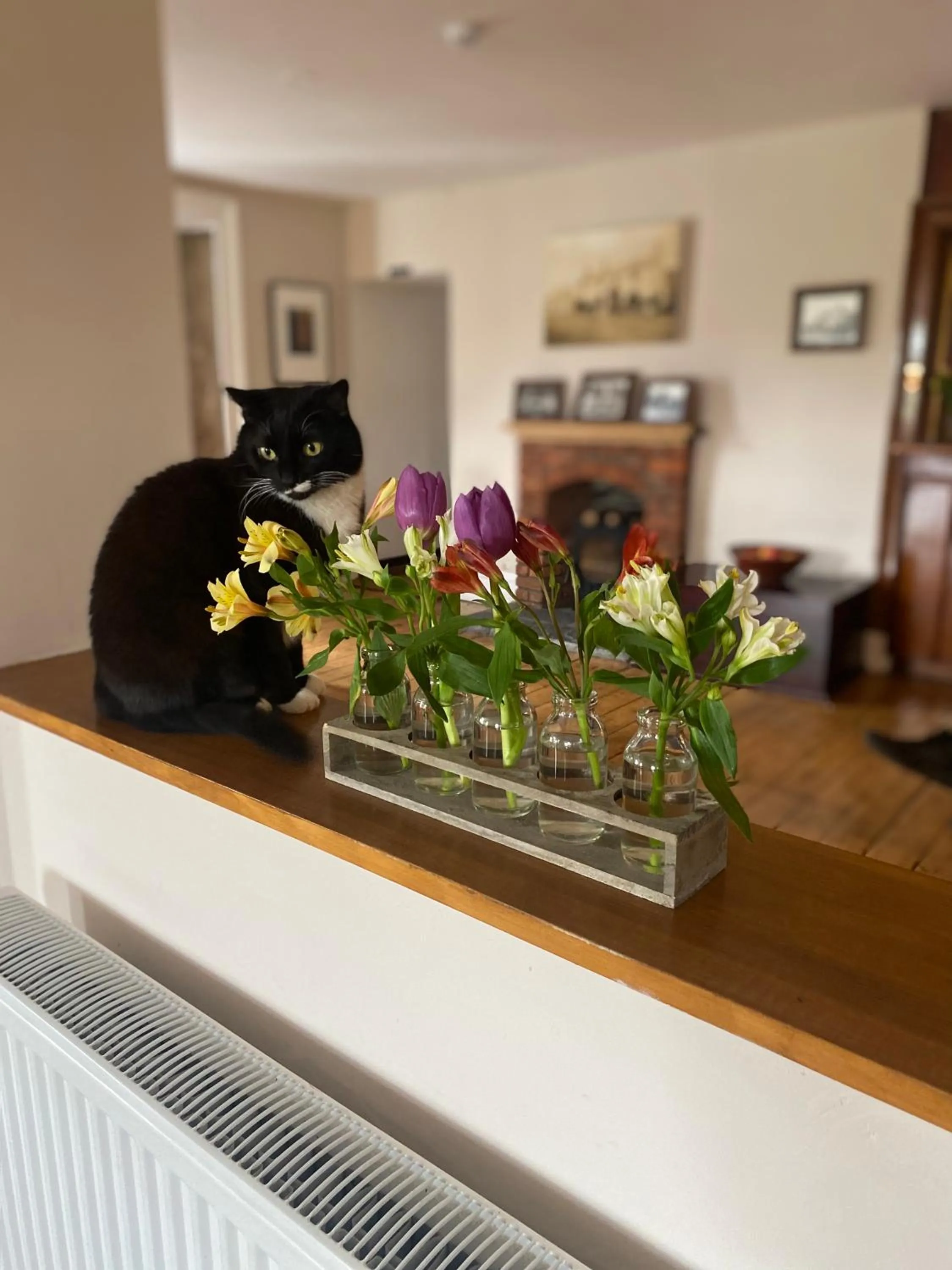 Property building in The Gordon Arms Restaurant with Rooms