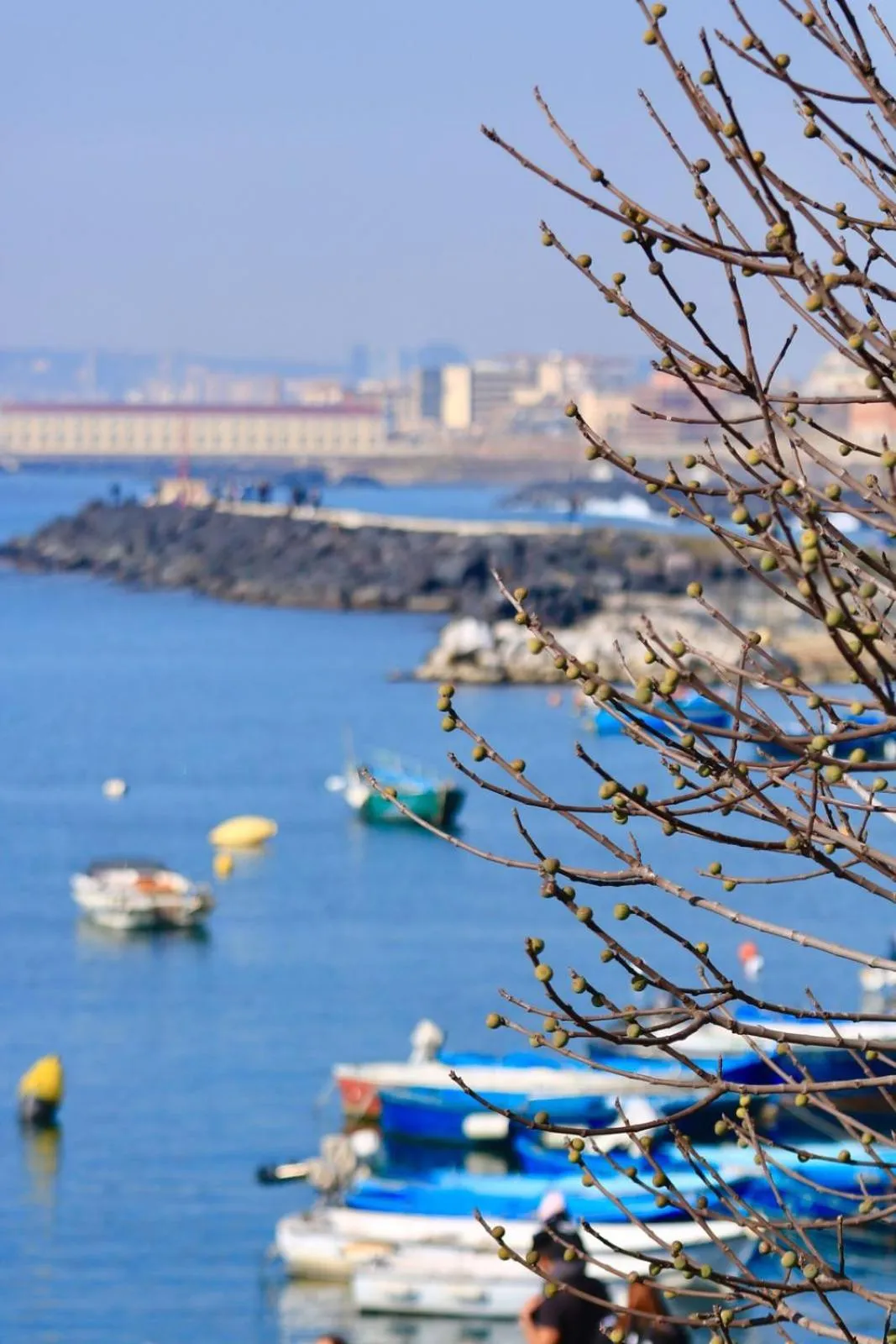 Nearby landmark in B&B Pietrarsa