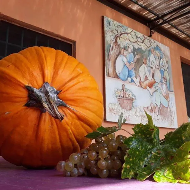 Food and drinks in La Torre wine resort