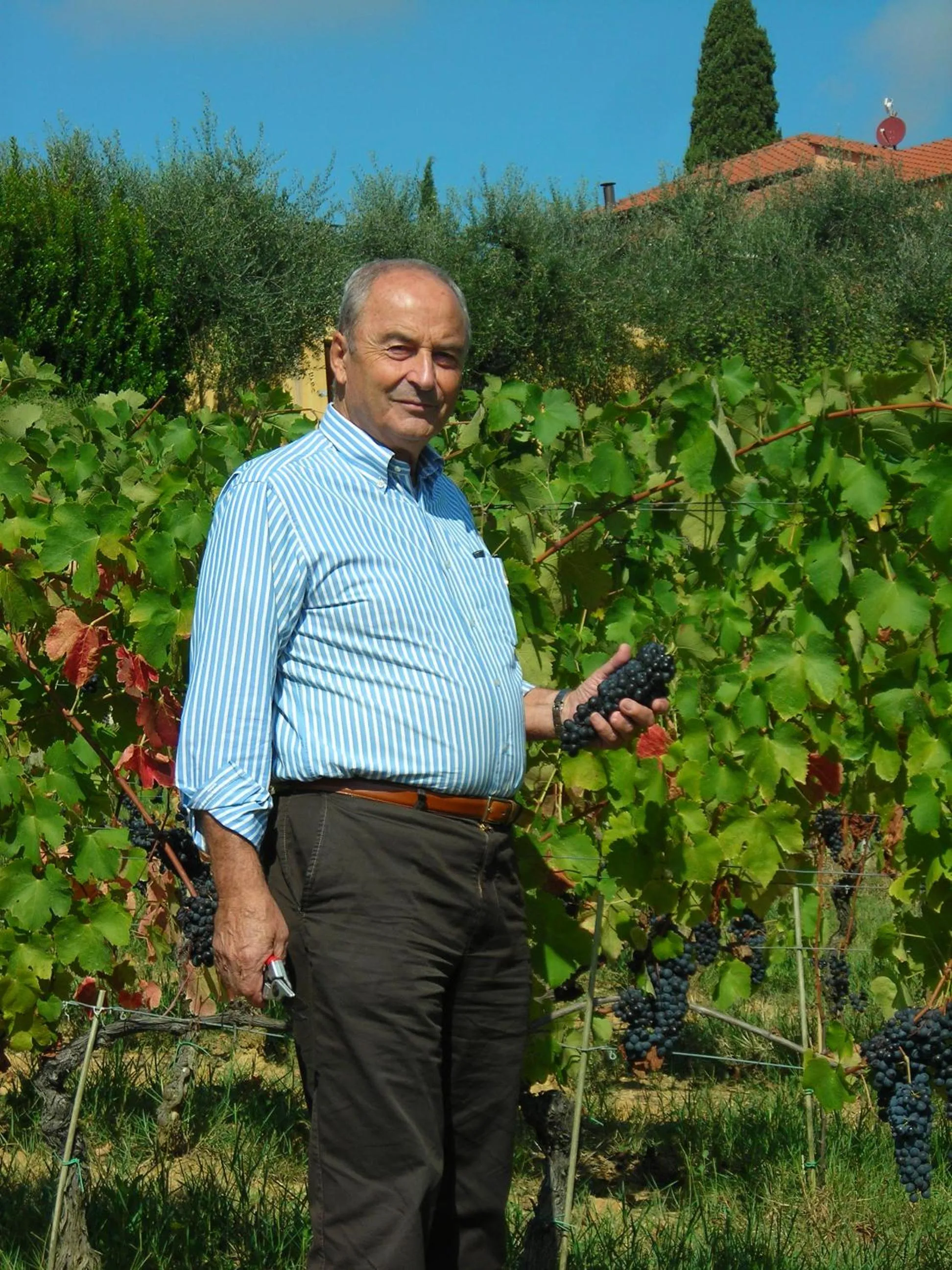 La Torre wine resort