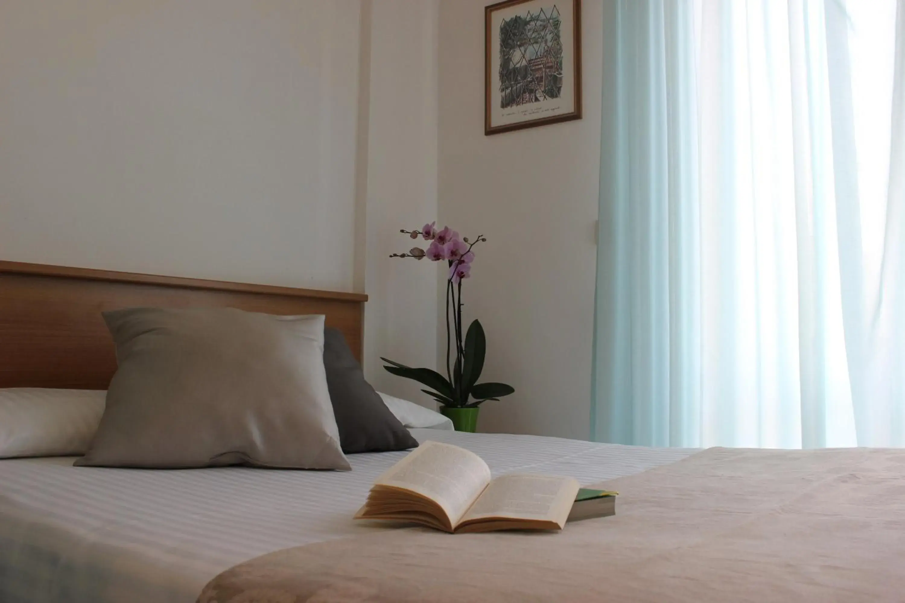 Single Room in Hotel Miramare Single Room in Hotel Miramare