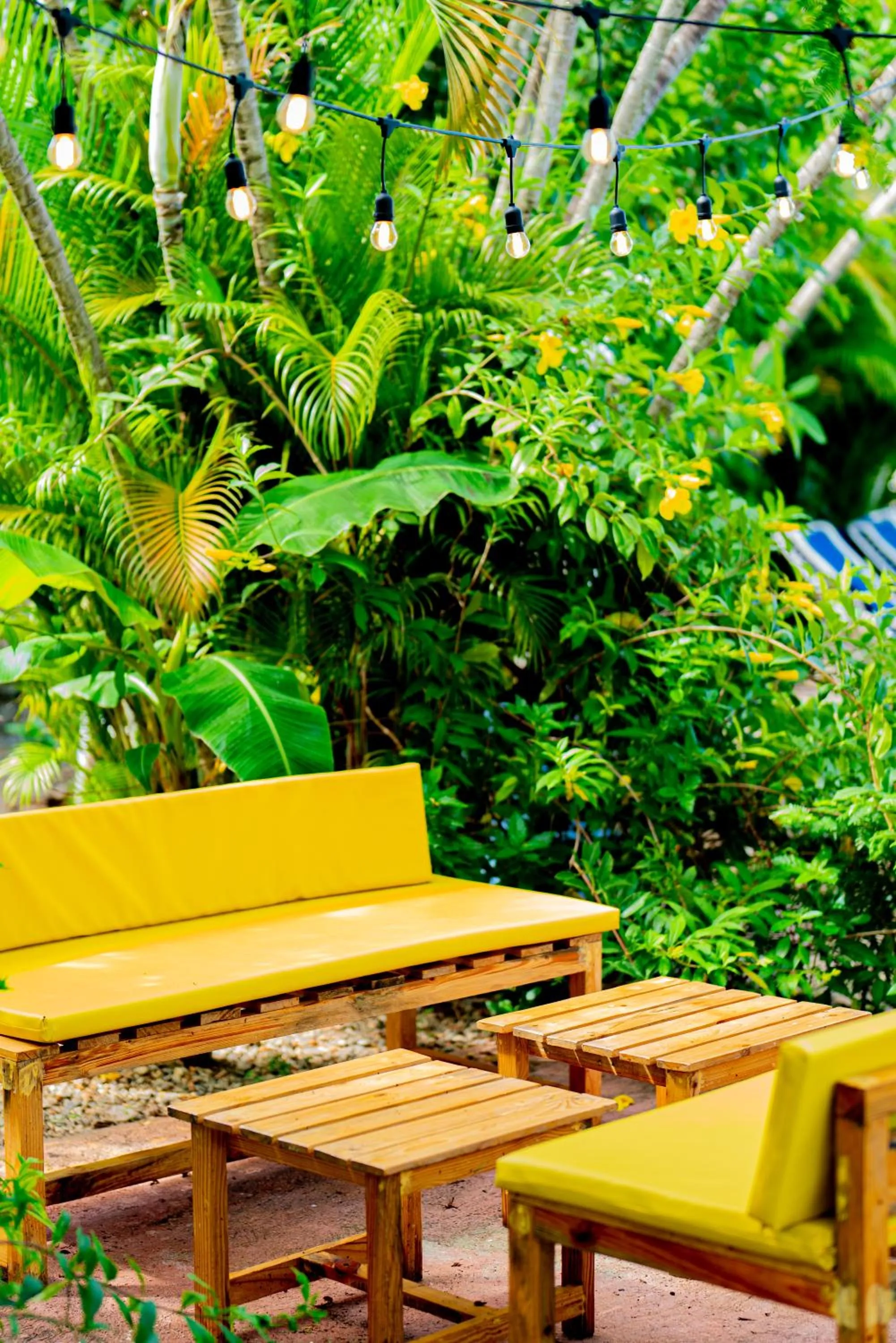 Garden in Le BDM PLAYITA