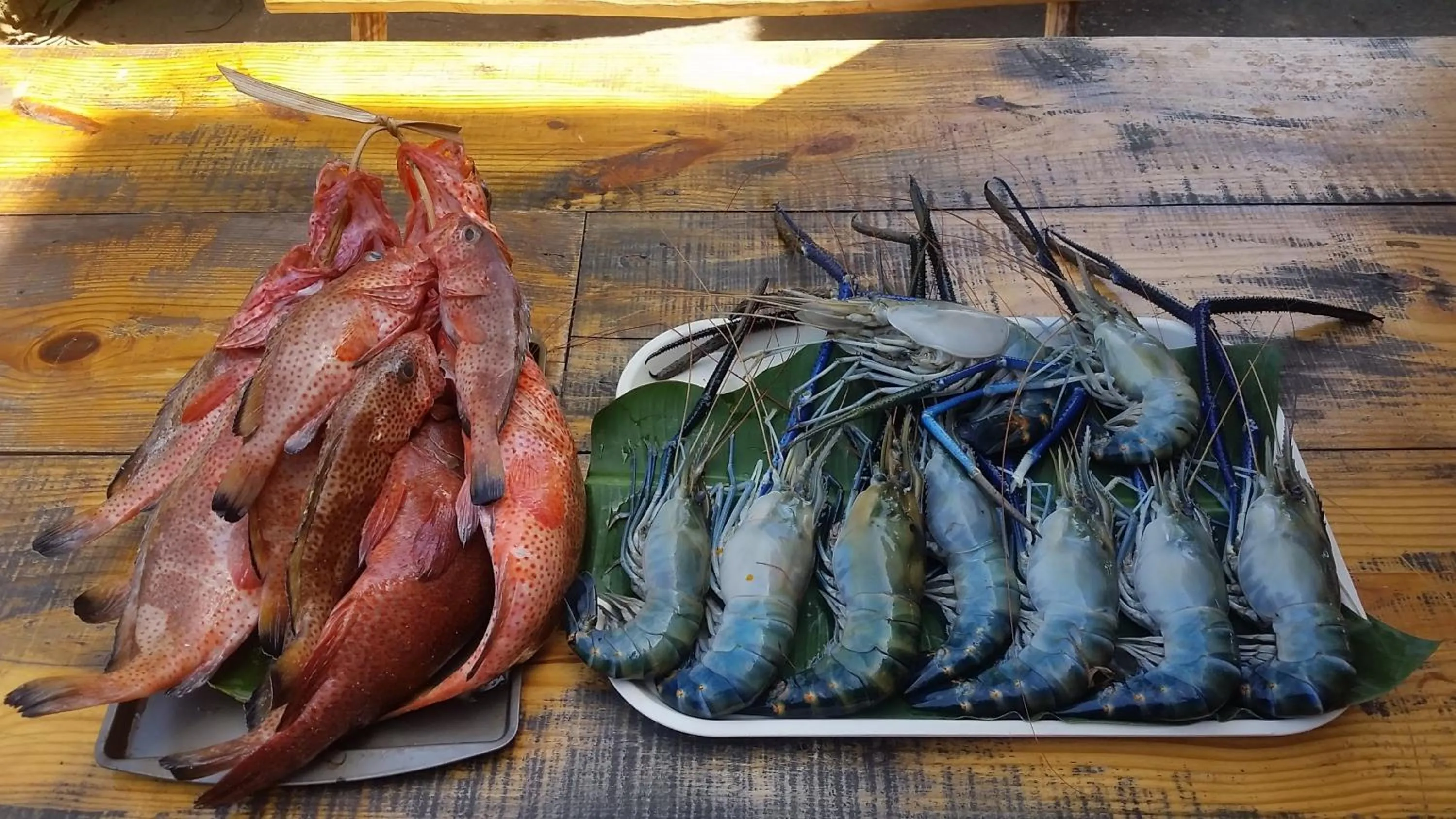 Restaurant/places to eat in Le BDM PLAYITA