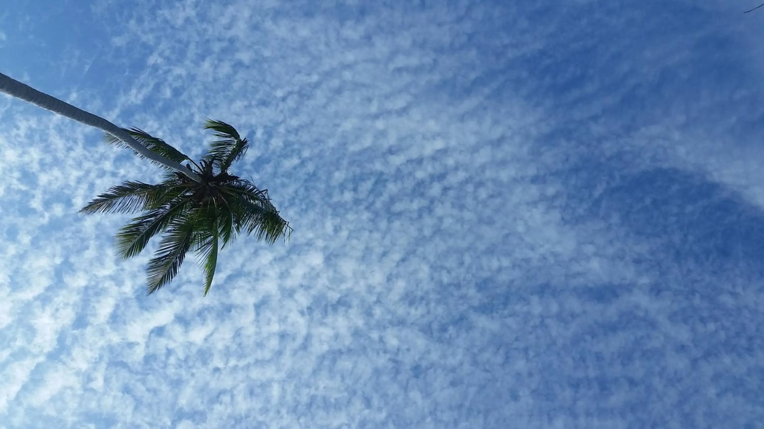 Beach in Le BDM PLAYITA