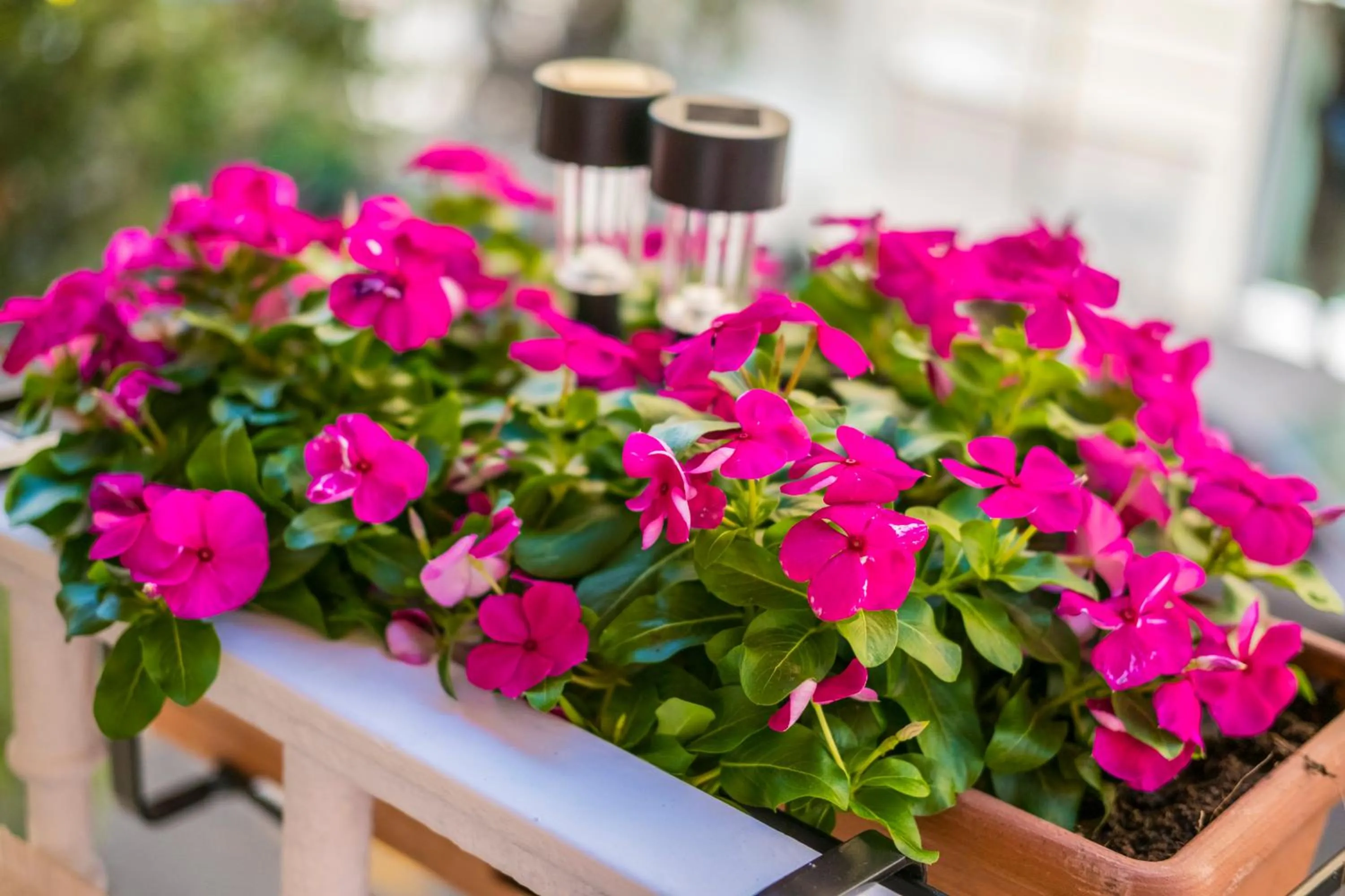 Floor plan in Per Amor Duomo