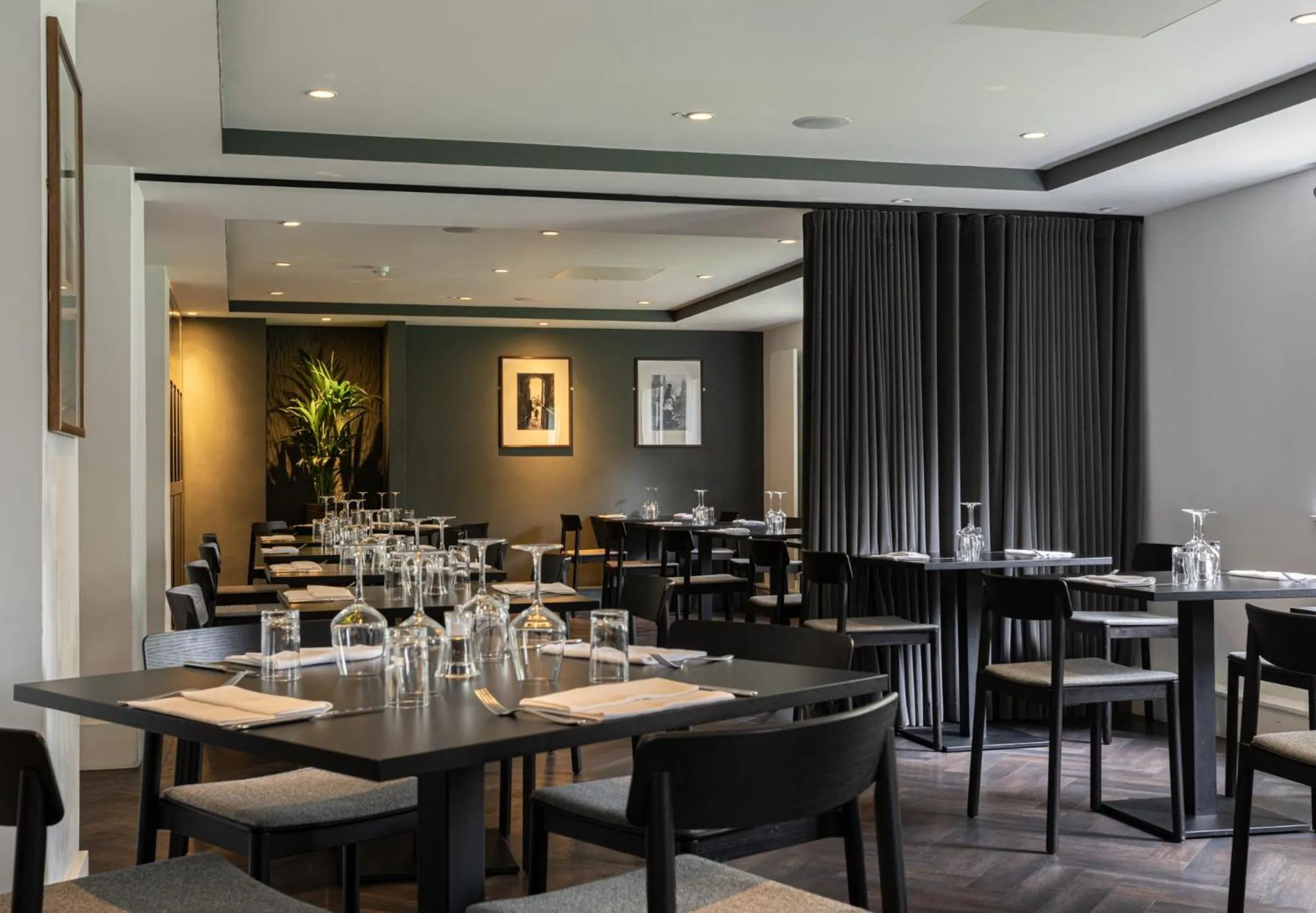 Restaurant/places to eat in The Scholar