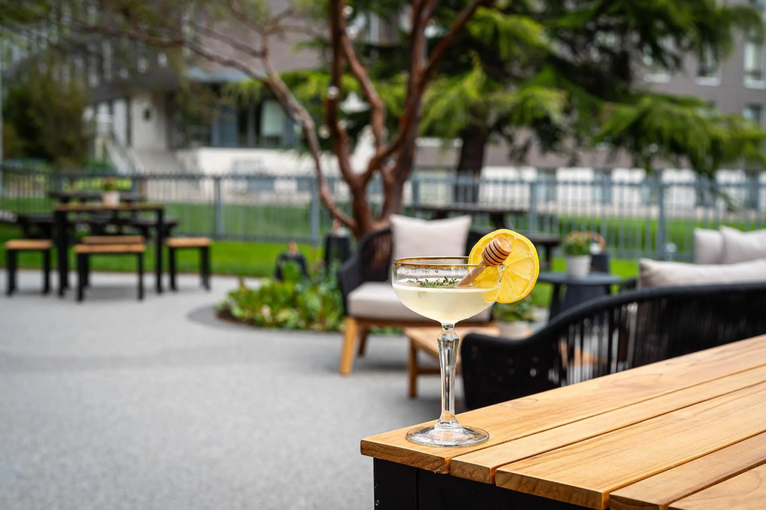 Garden in The Scholar