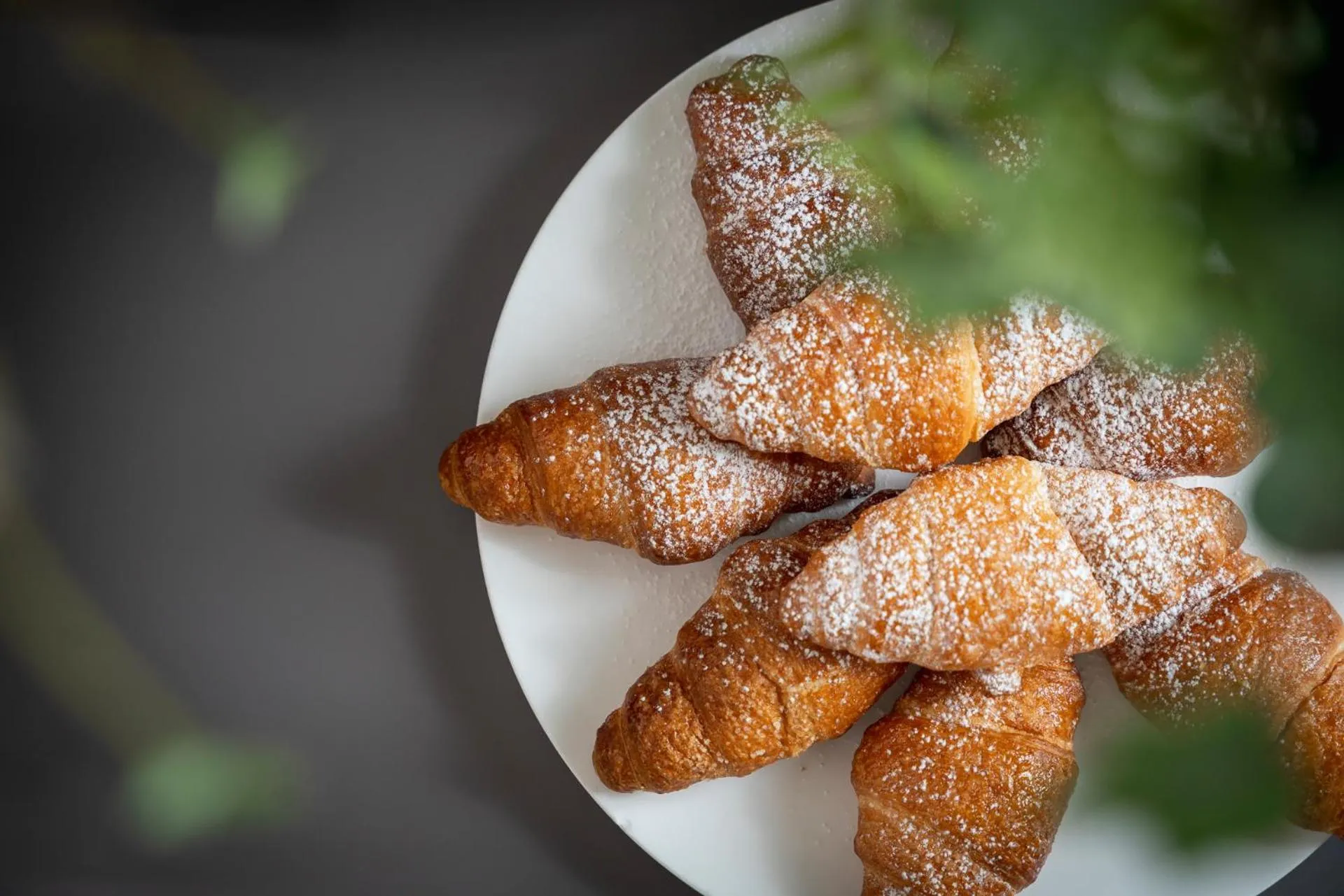 Food and drinks in Hotel Calypso- Rimini Marina Centro