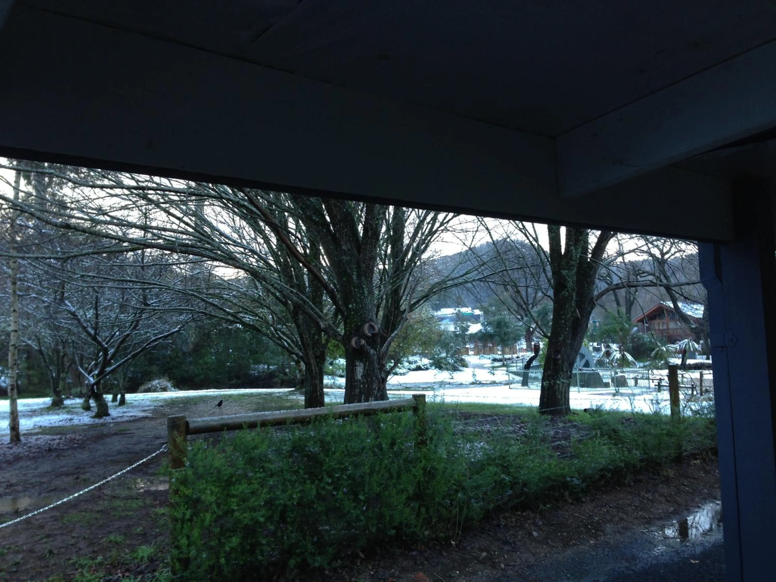 Goldberryaccommodation